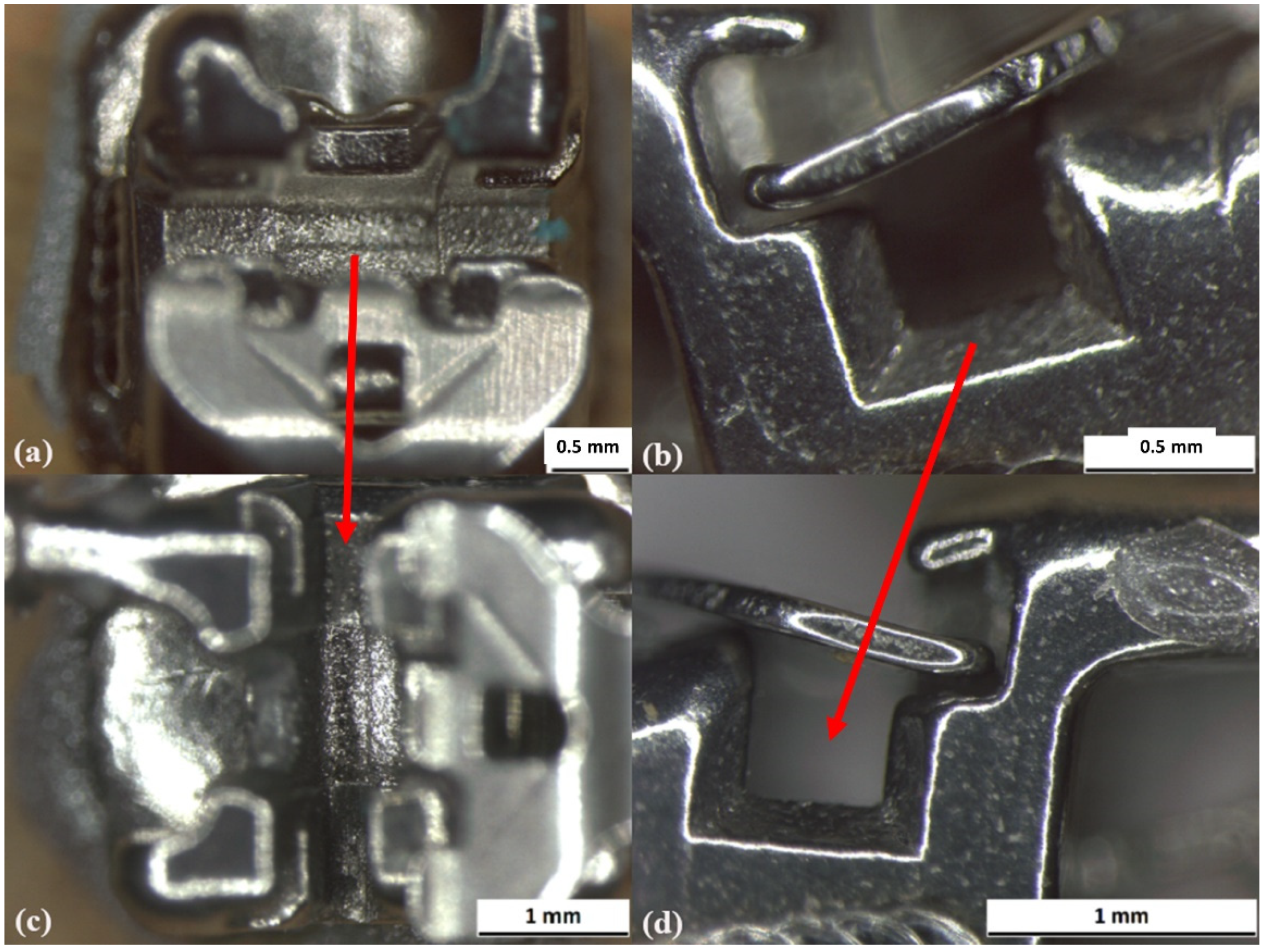 Prosthesis 03 00031 g007