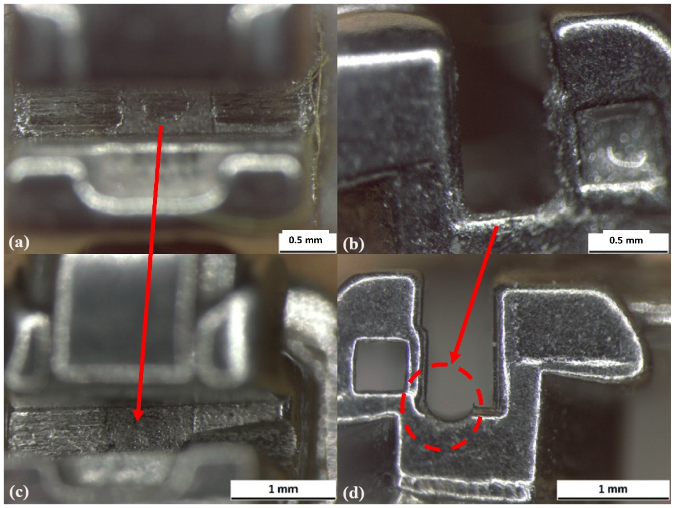 Prosthesis 03 00031 g008