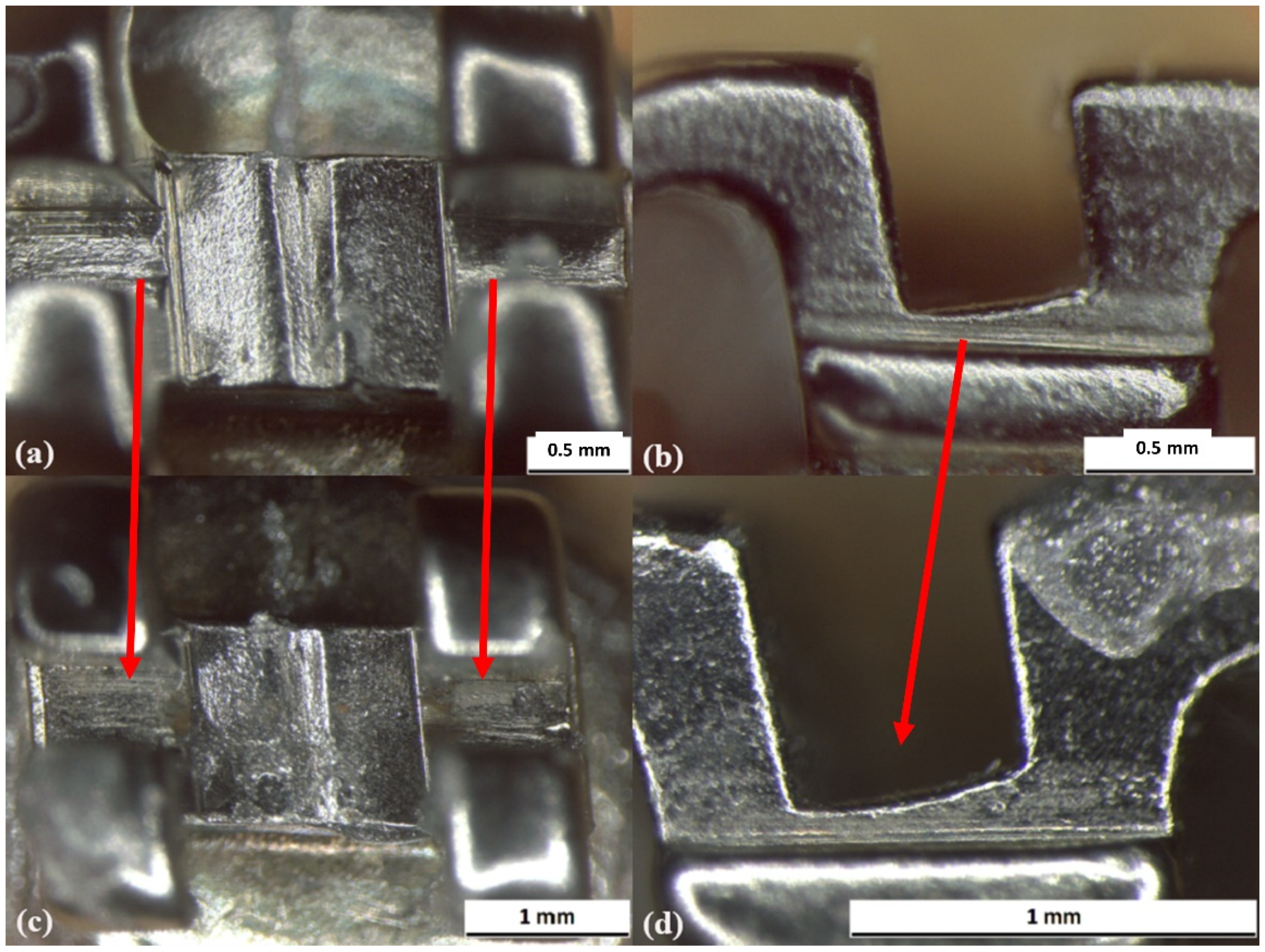 Prosthesis 03 00031 g010