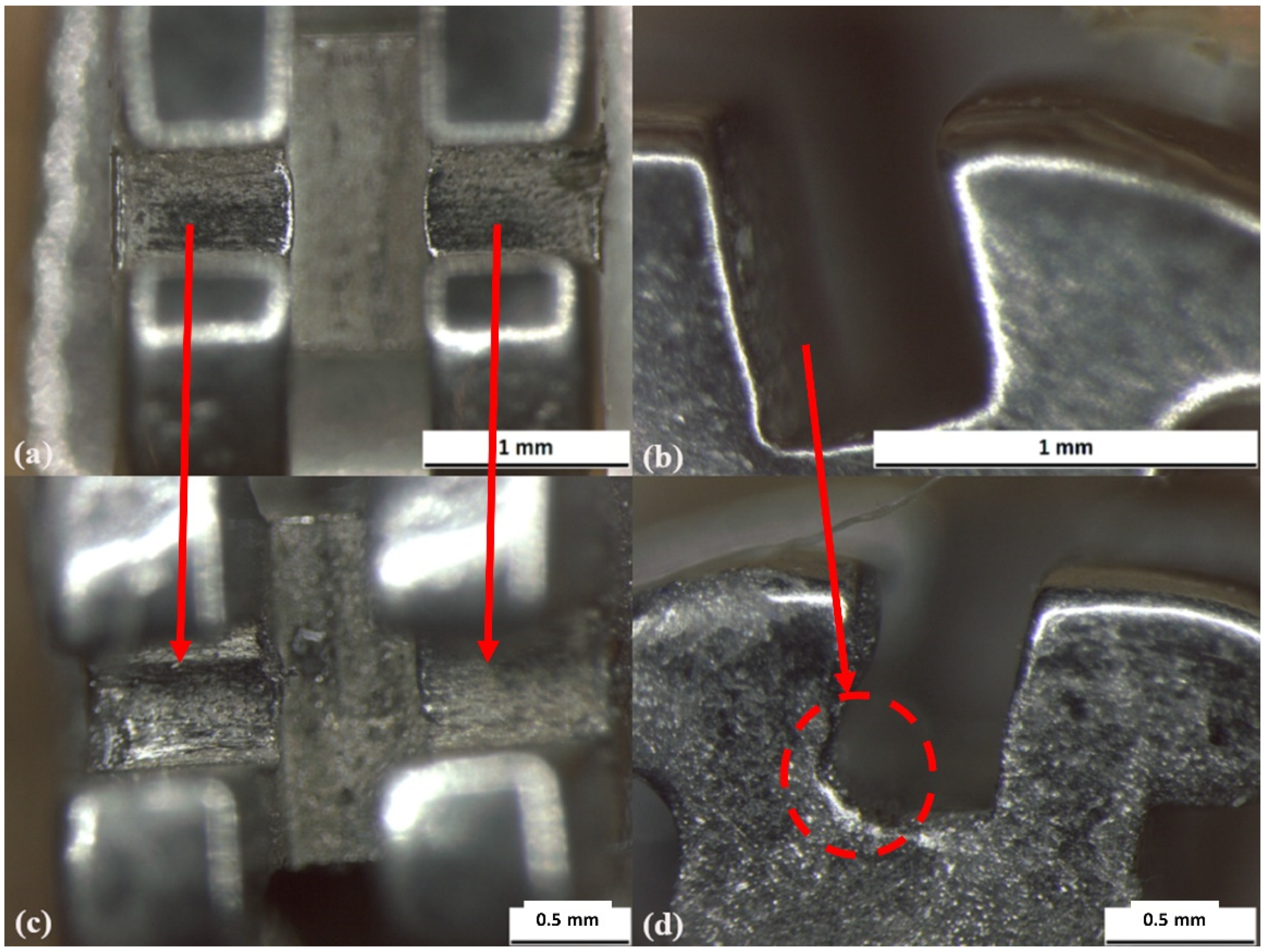 Prosthesis 03 00031 g011