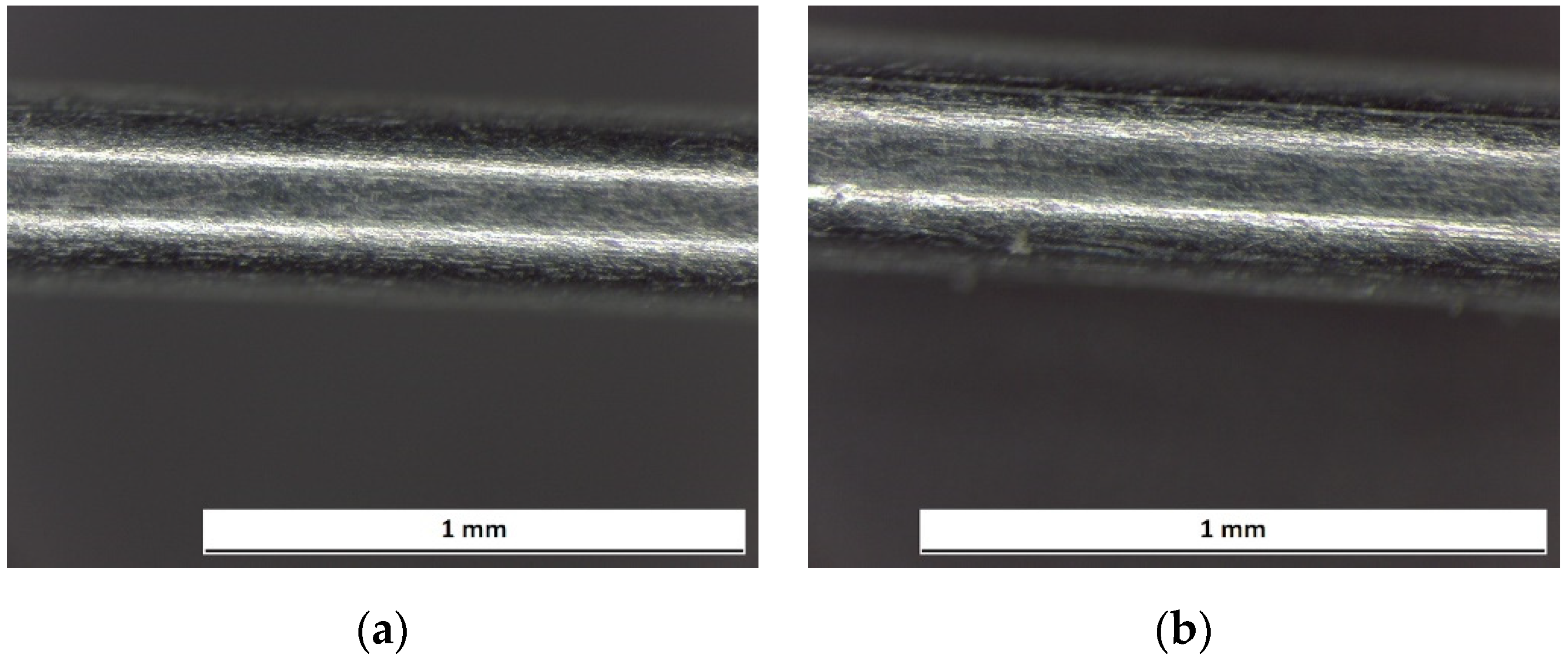 Prosthesis 03 00031 g012