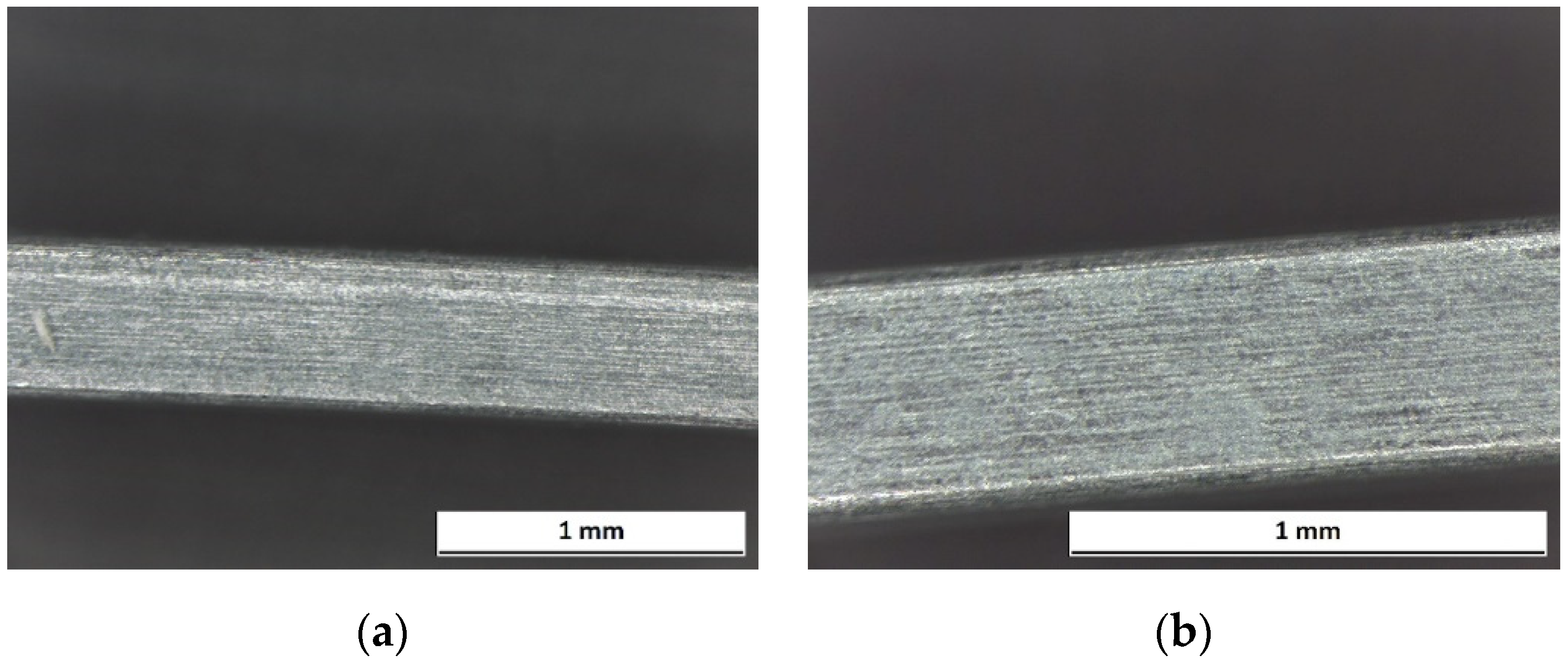Prosthesis 03 00031 g013