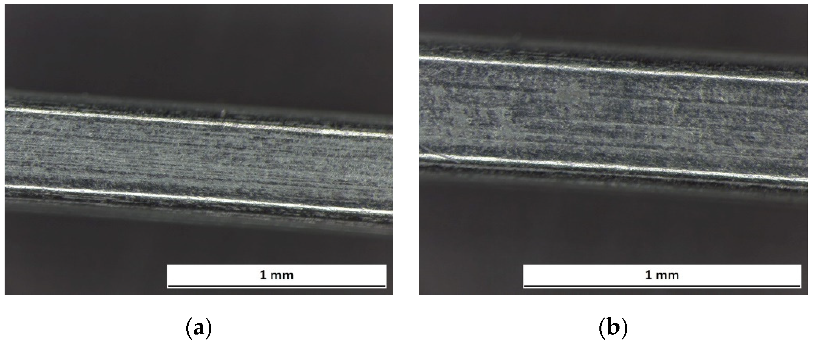 Prosthesis 03 00031 g014