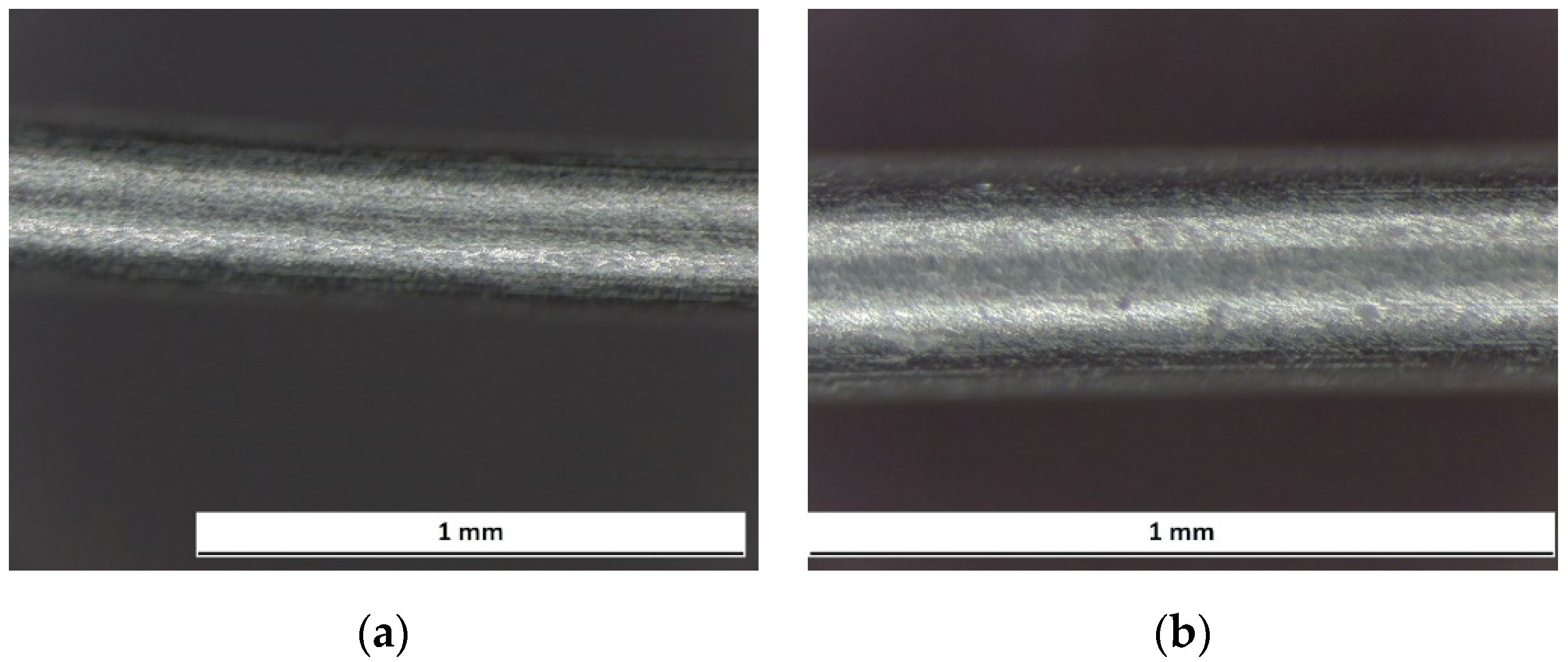 Prosthesis 03 00031 g015