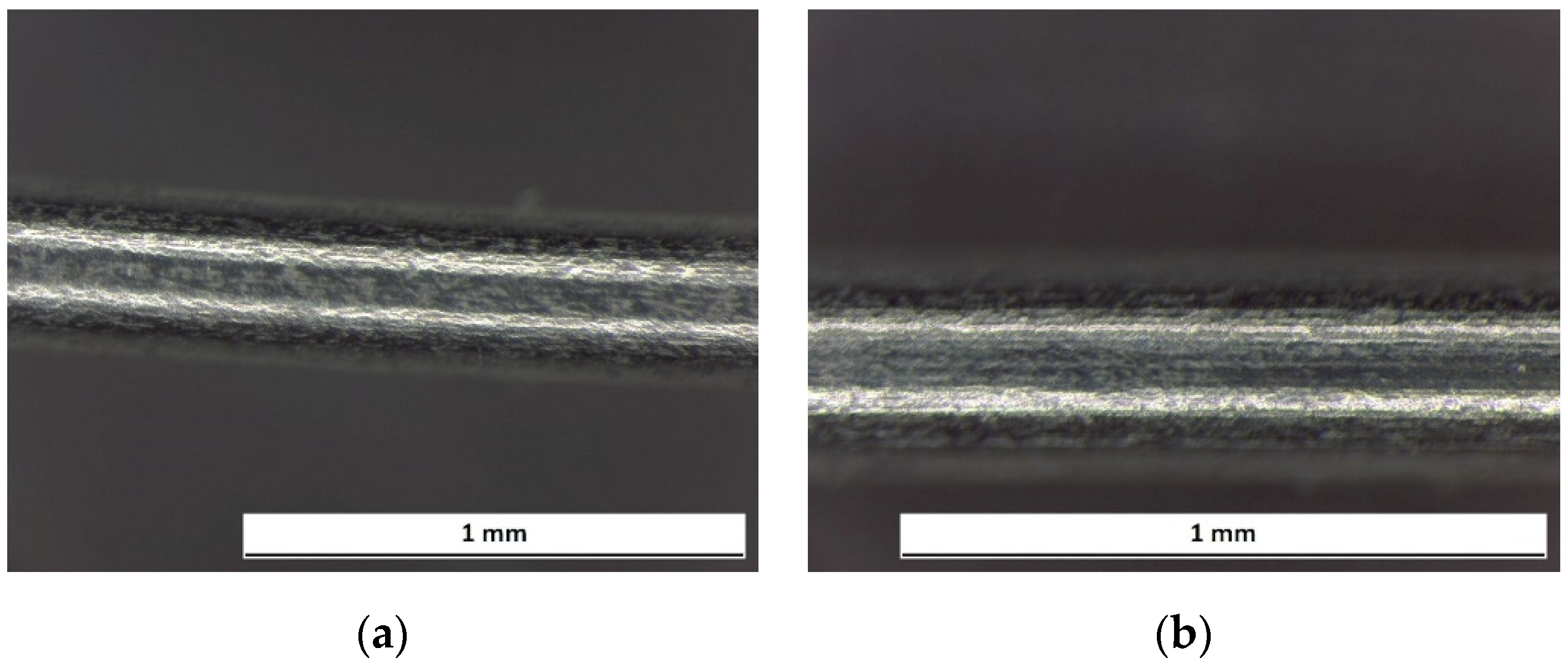 Prosthesis 03 00031 g017
