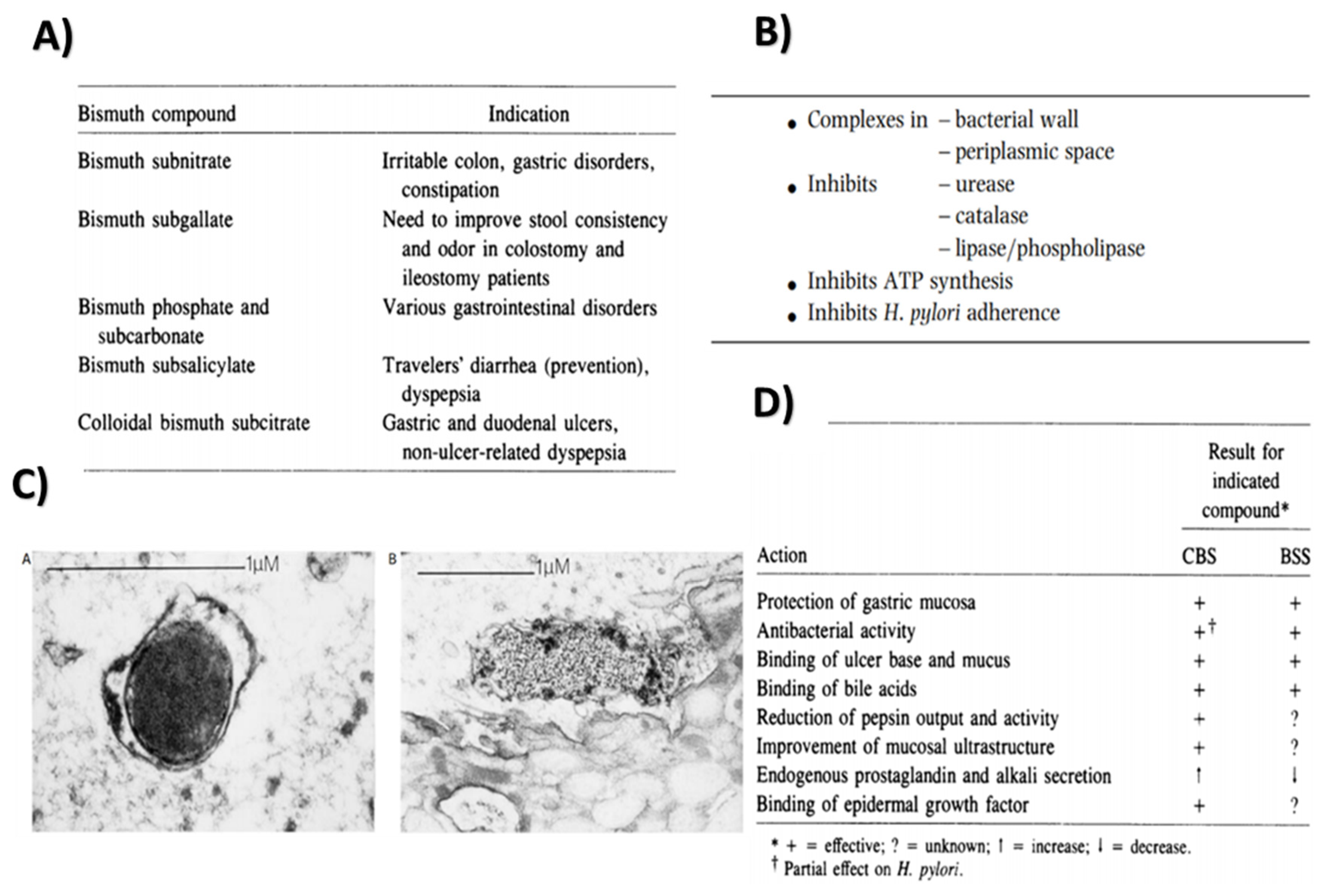 Prosthesis 04 00026 g003 Prosthesis 04 00026 g003