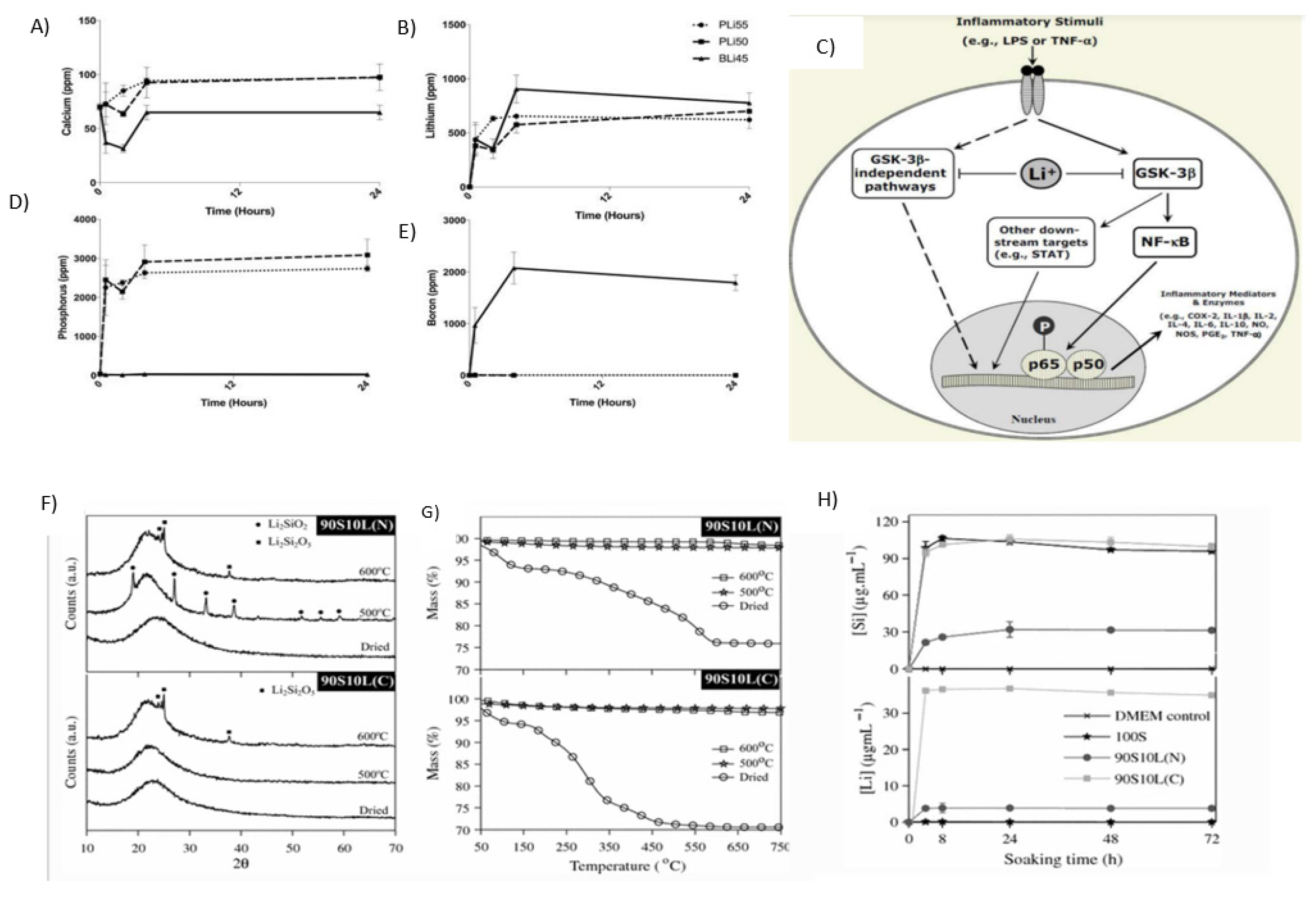 Prosthesis 04 00026 g008 Prosthesis 04 00026 g008