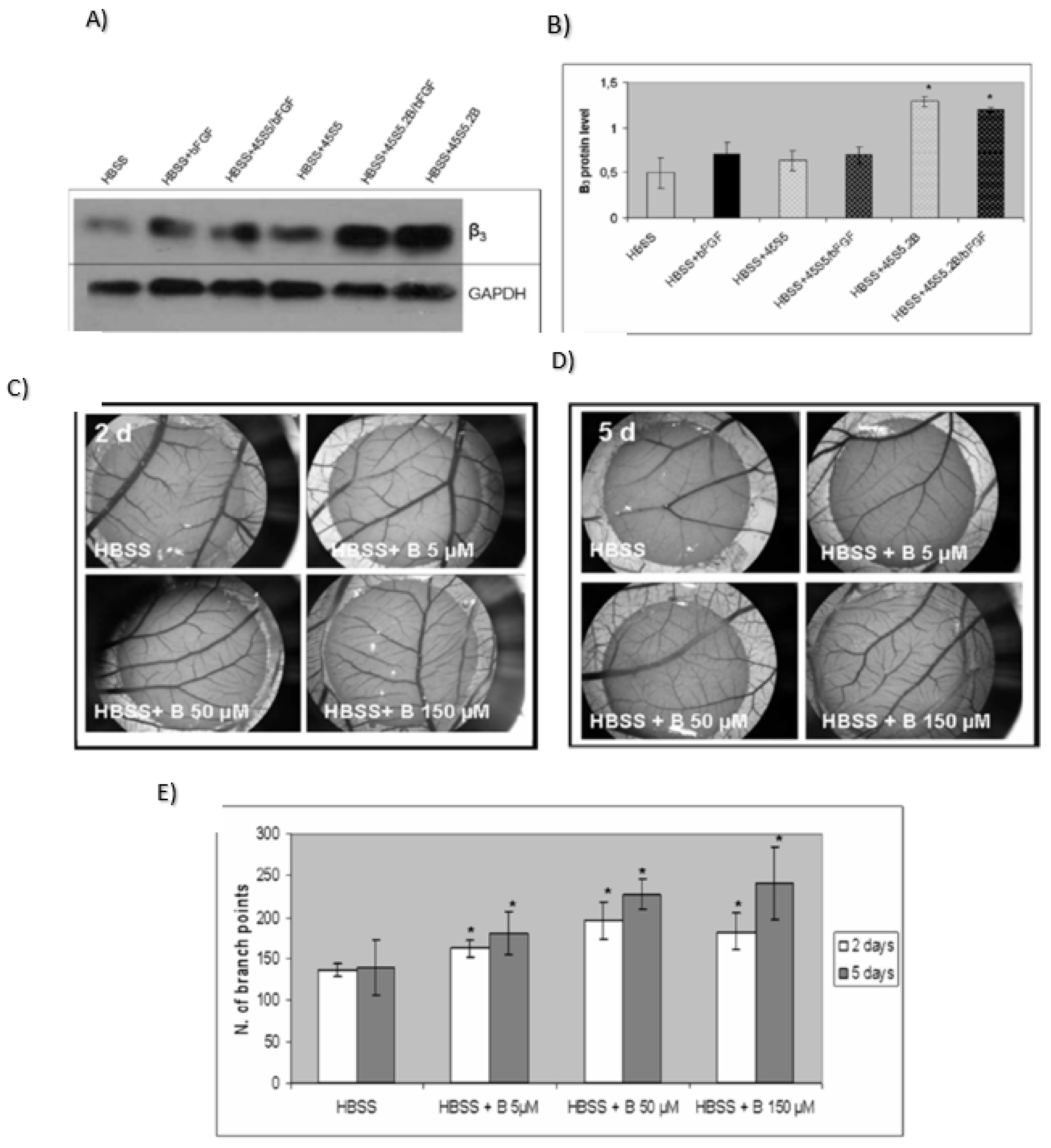 Prosthesis 04 00026 g011 Prosthesis 04 00026 g011