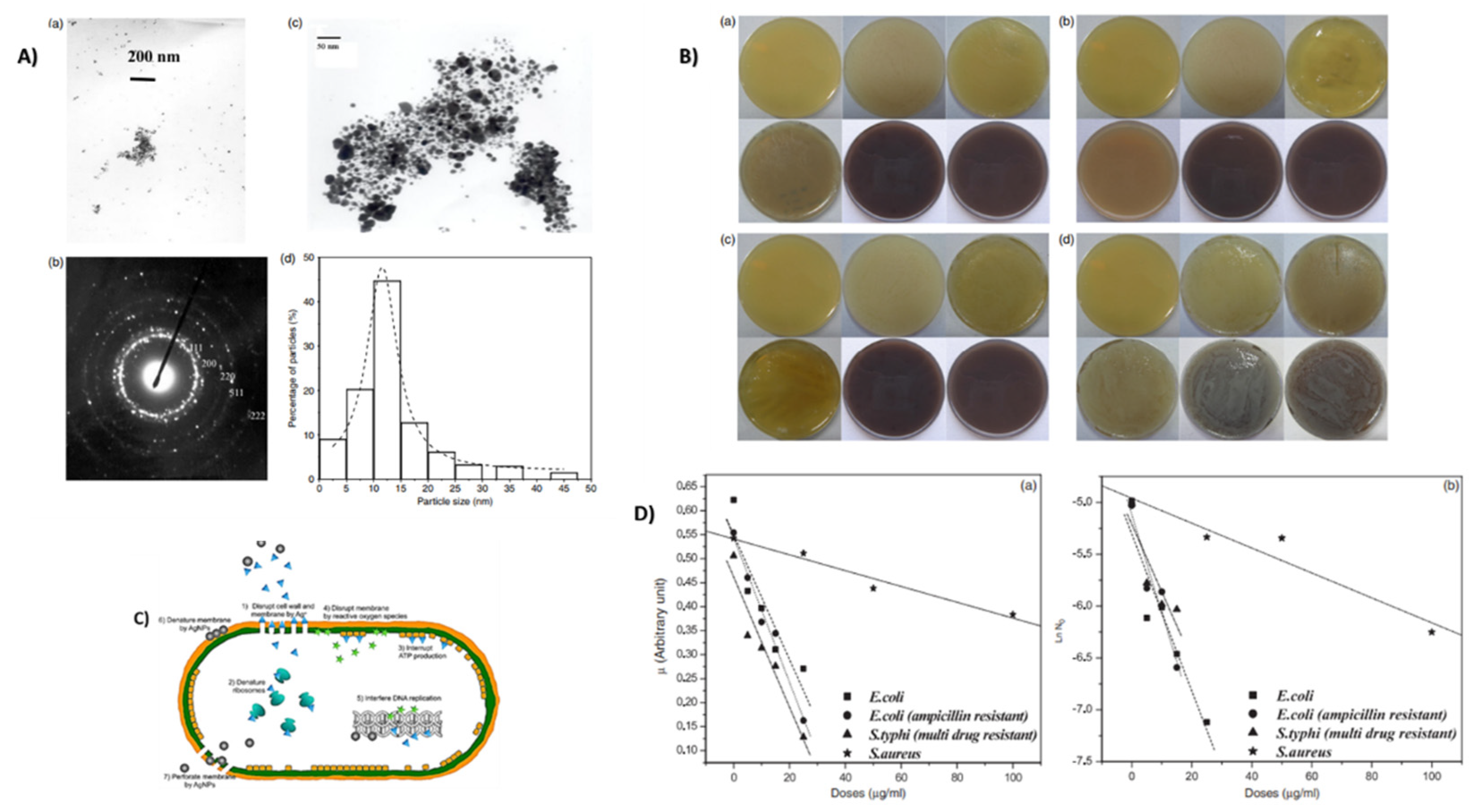 Prosthesis 04 00026 g012 Prosthesis 04 00026 g012