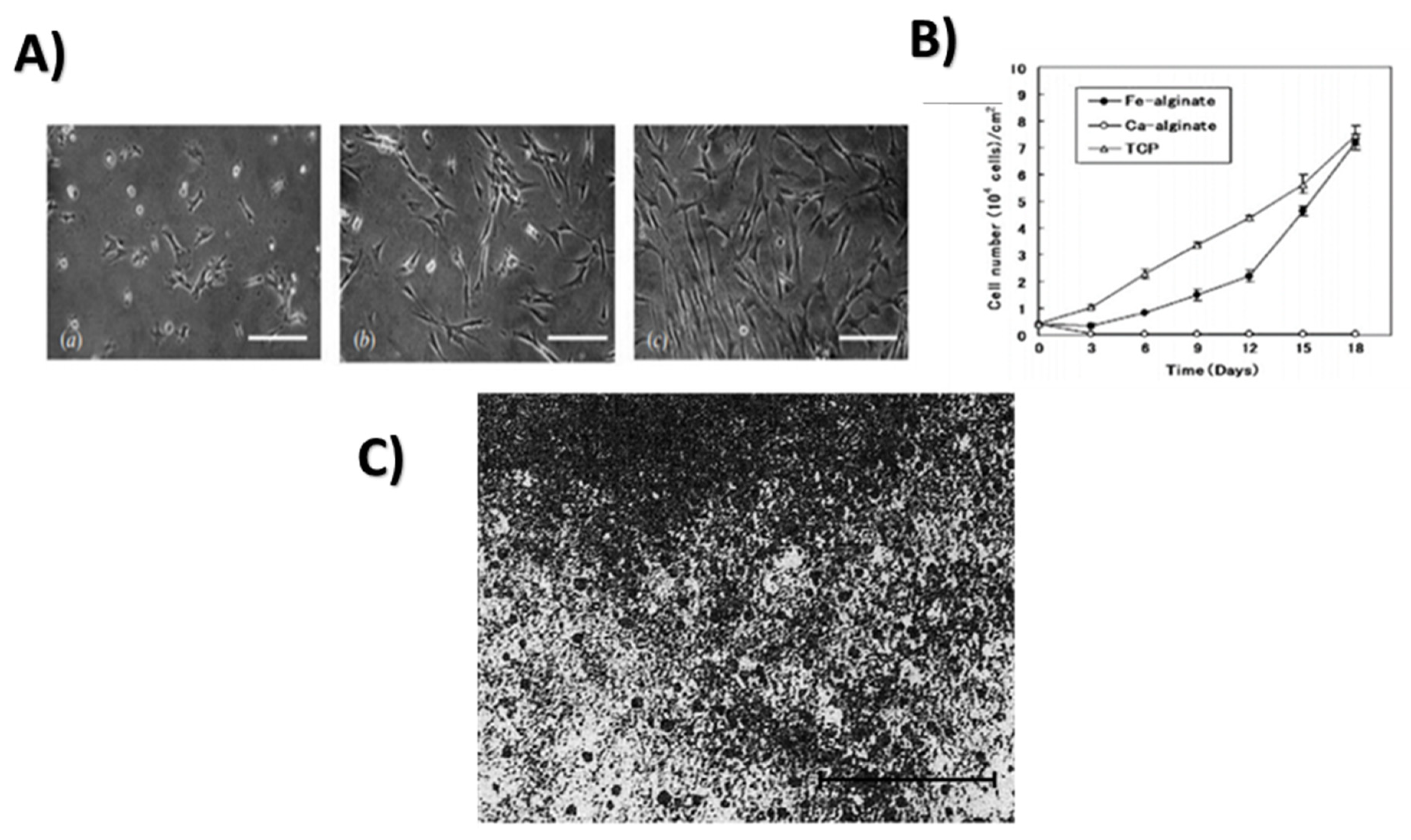 Prosthesis 04 00026 g014 Prosthesis 04 00026 g014