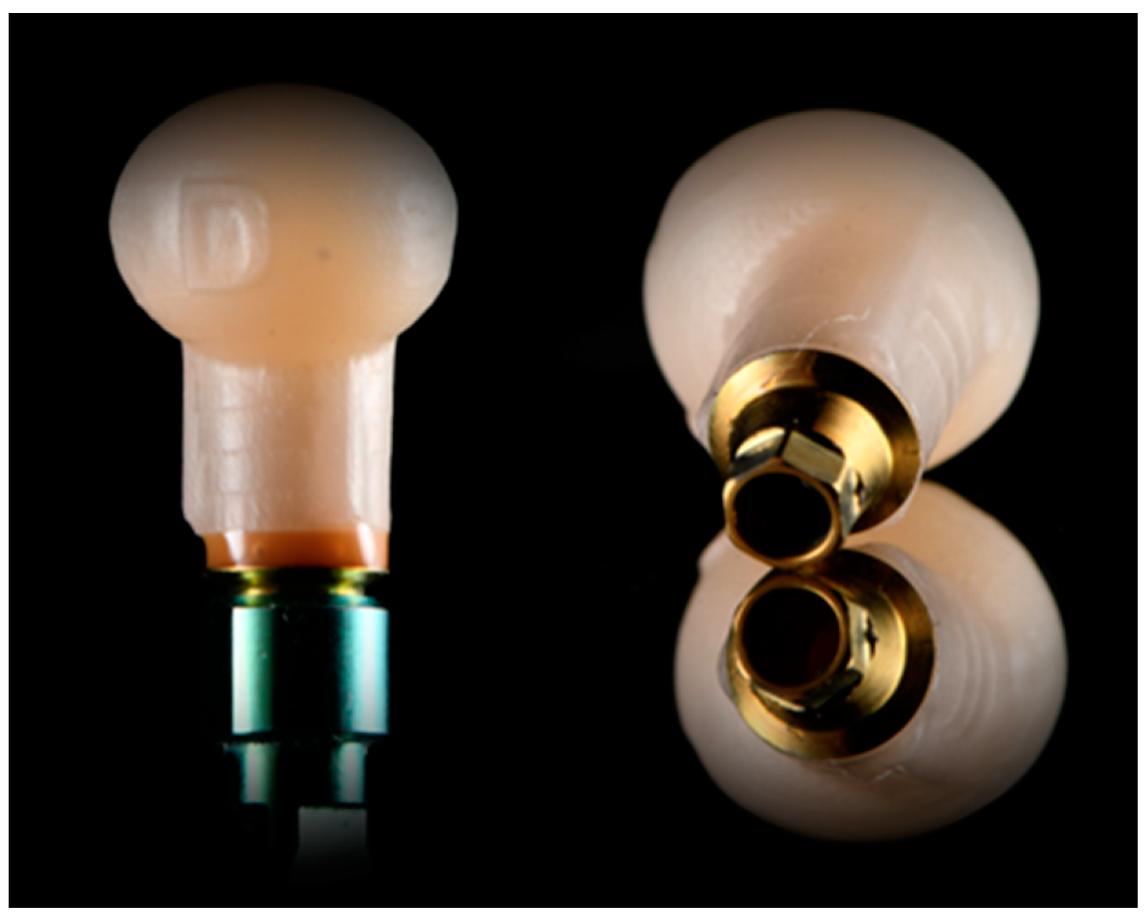 Prosthesis 04 00041 g002