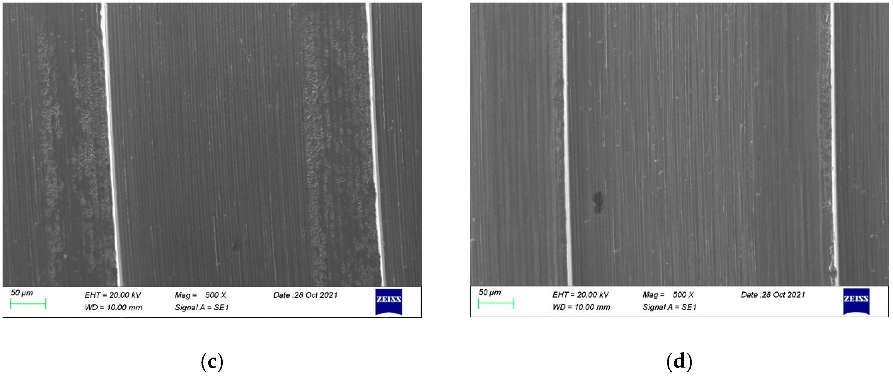 Prosthesis 04 00041 g007b