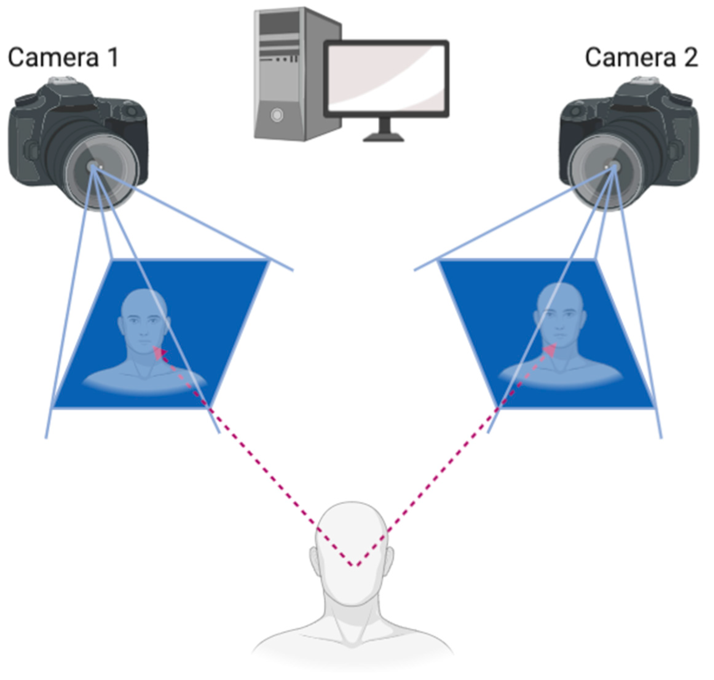 Схема получения первичной информации фотограмметрия