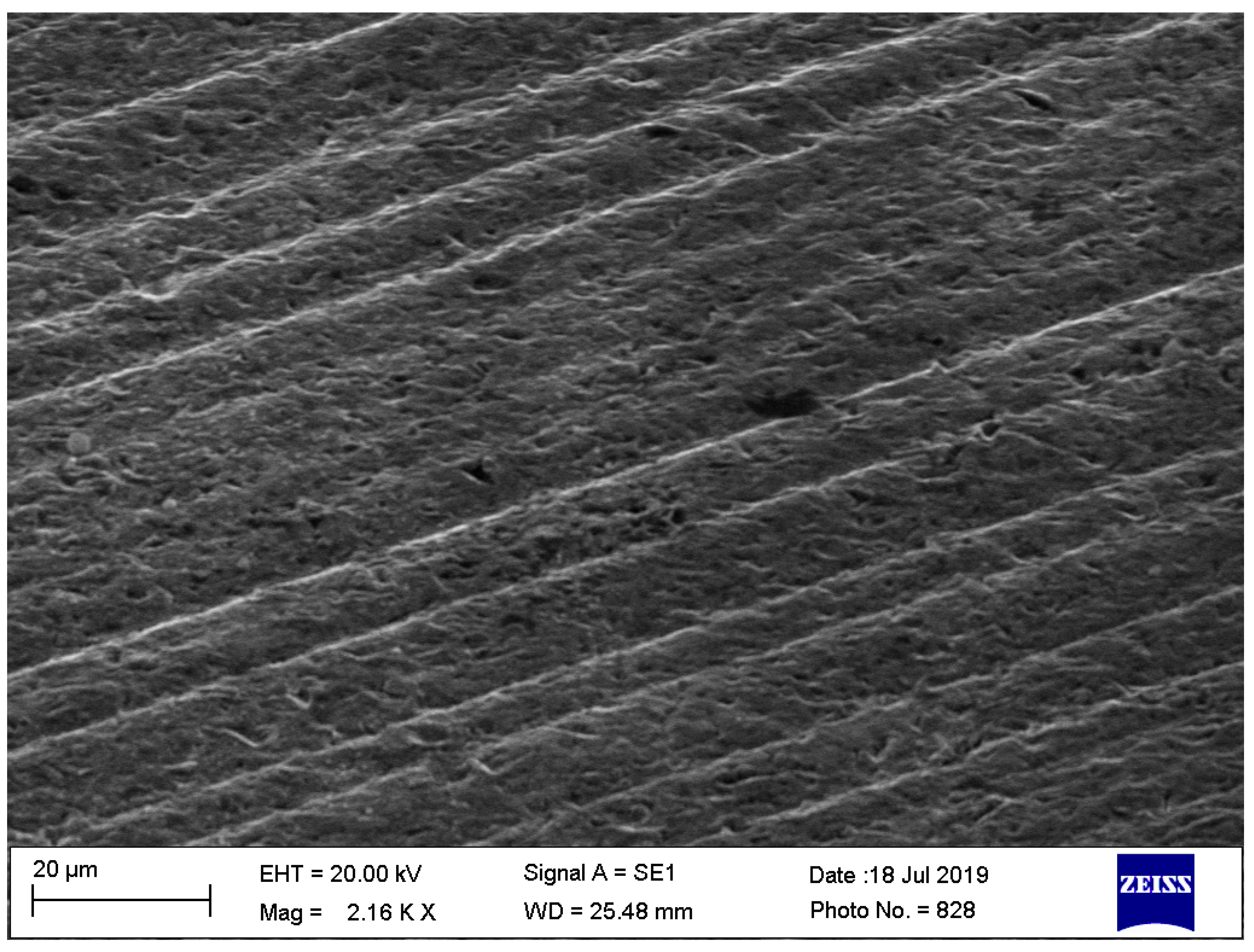 Prosthesis 04 00054 g009