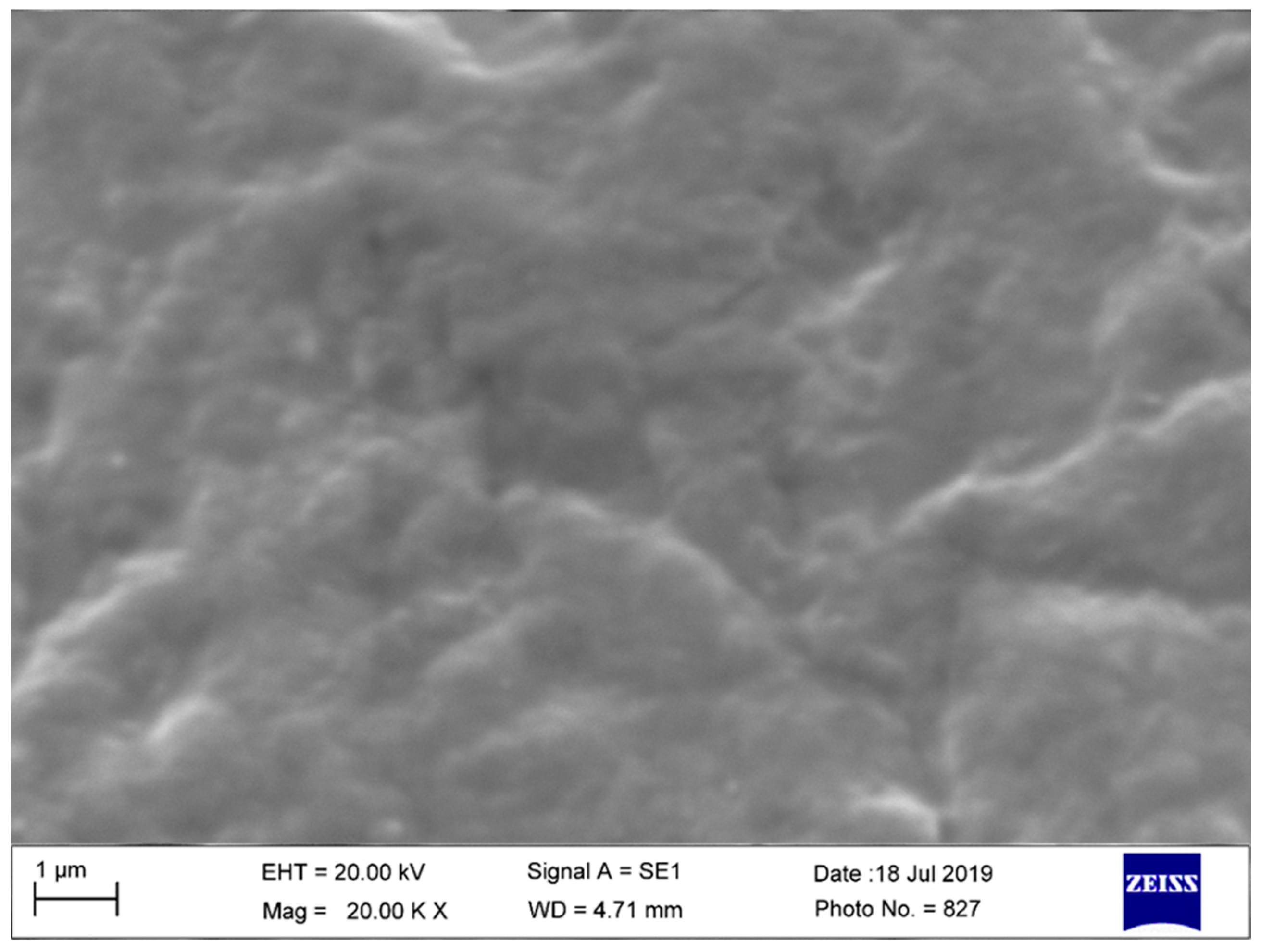 Prosthesis 04 00054 g012