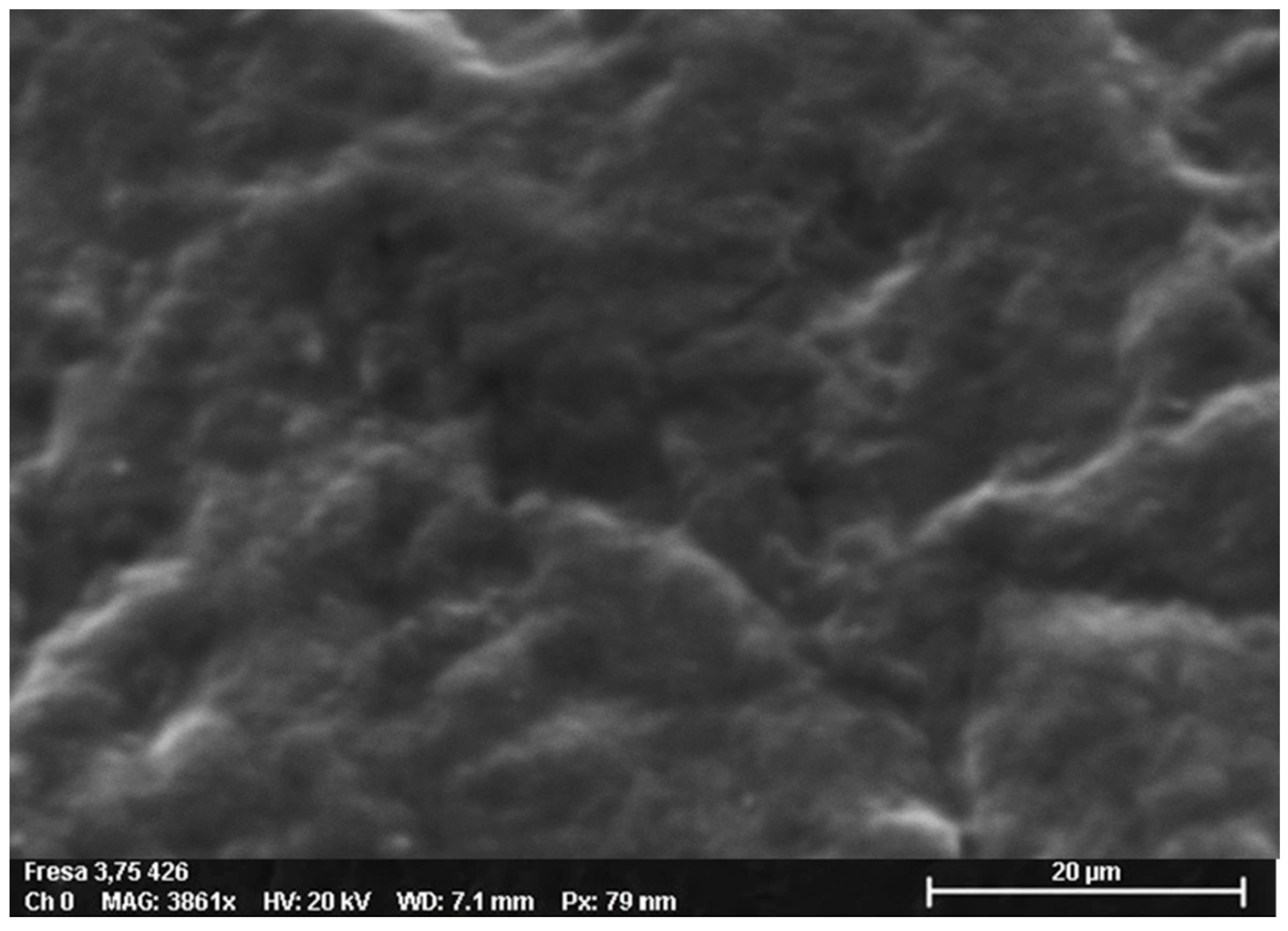 Prosthesis 04 00054 g013