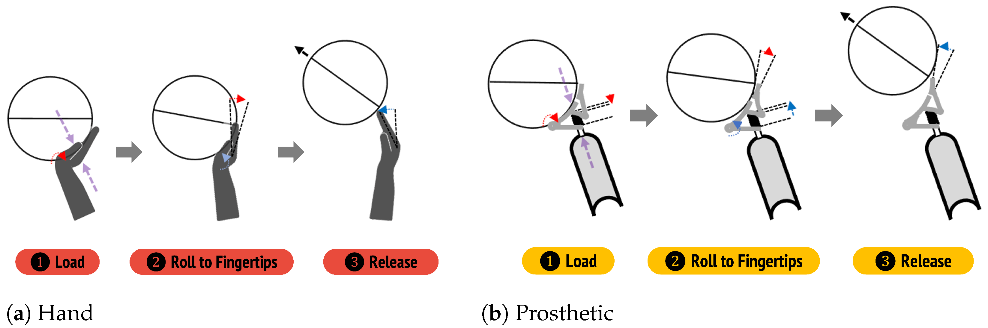 Prosthesis 05 00002 g009
