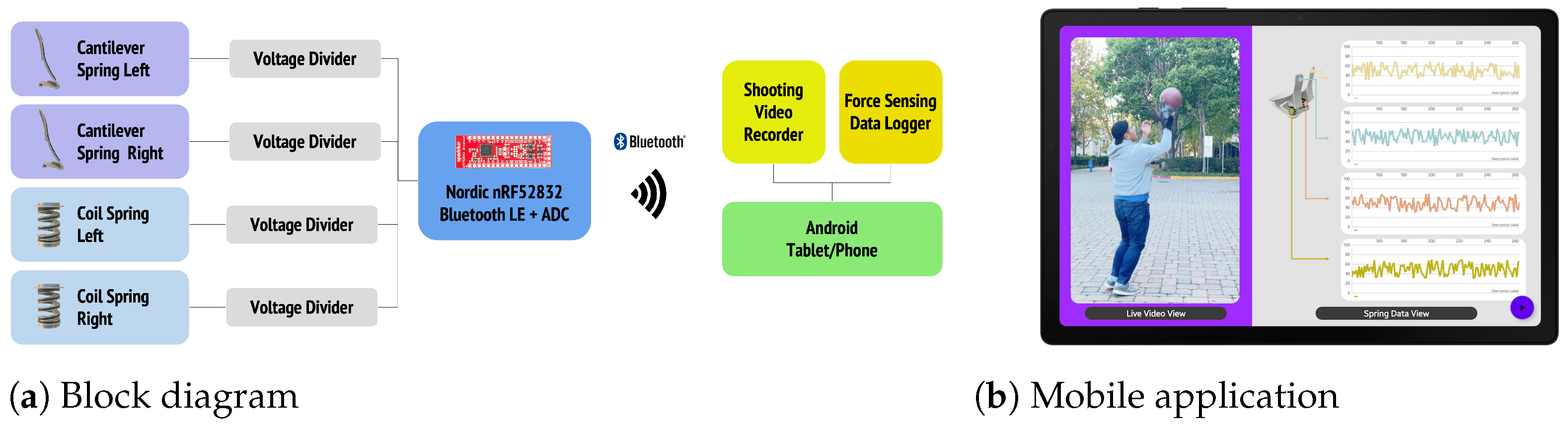 Prosthesis 05 00002 g013