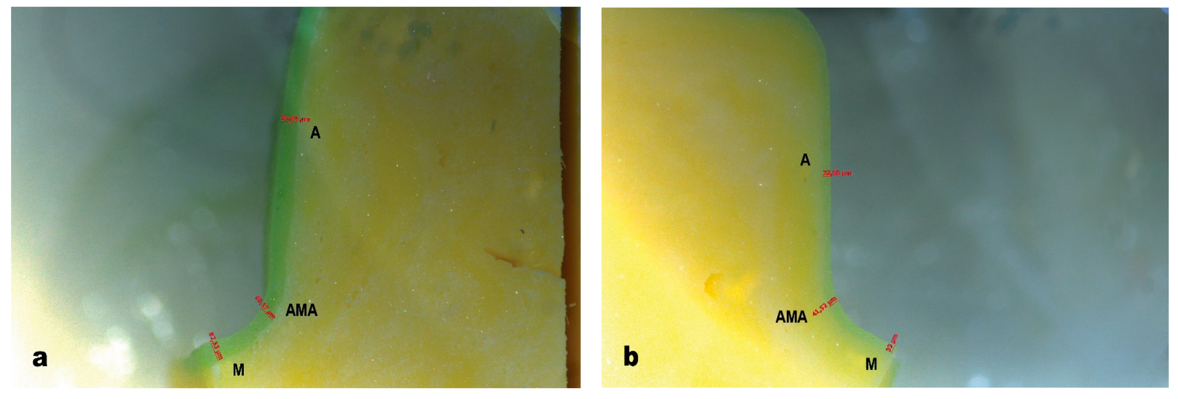 Prosthesis 05 00003 g005