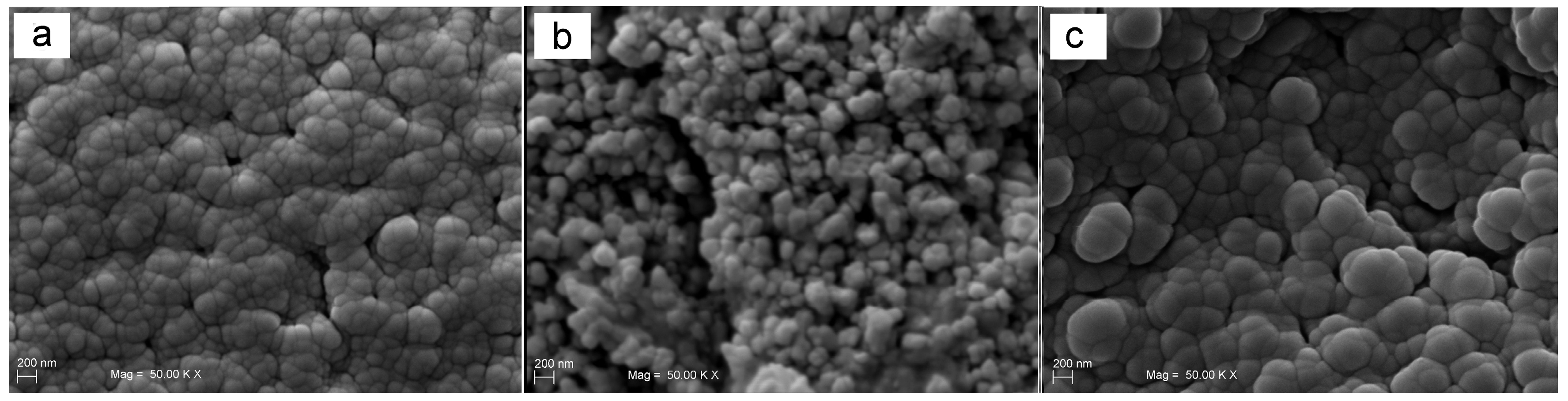 Prosthesis 05 00004 g002