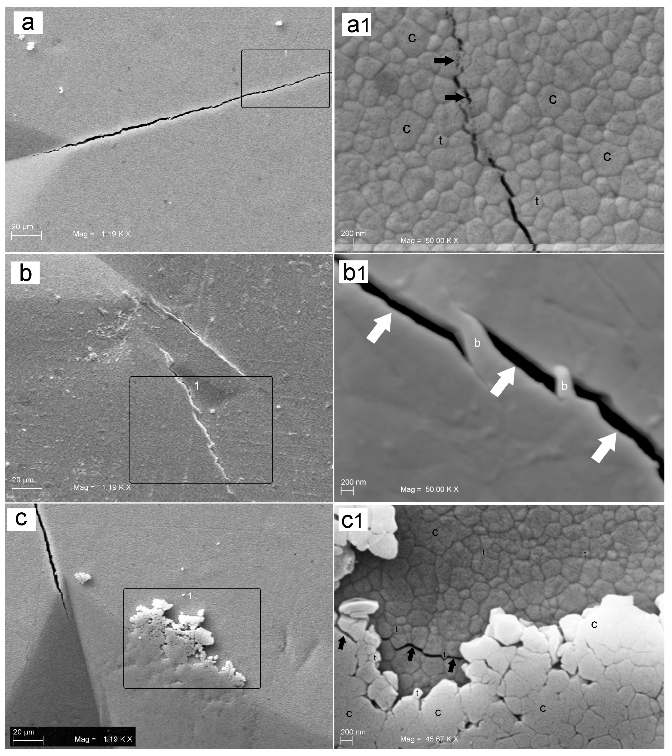 Prosthesis 05 00004 g007