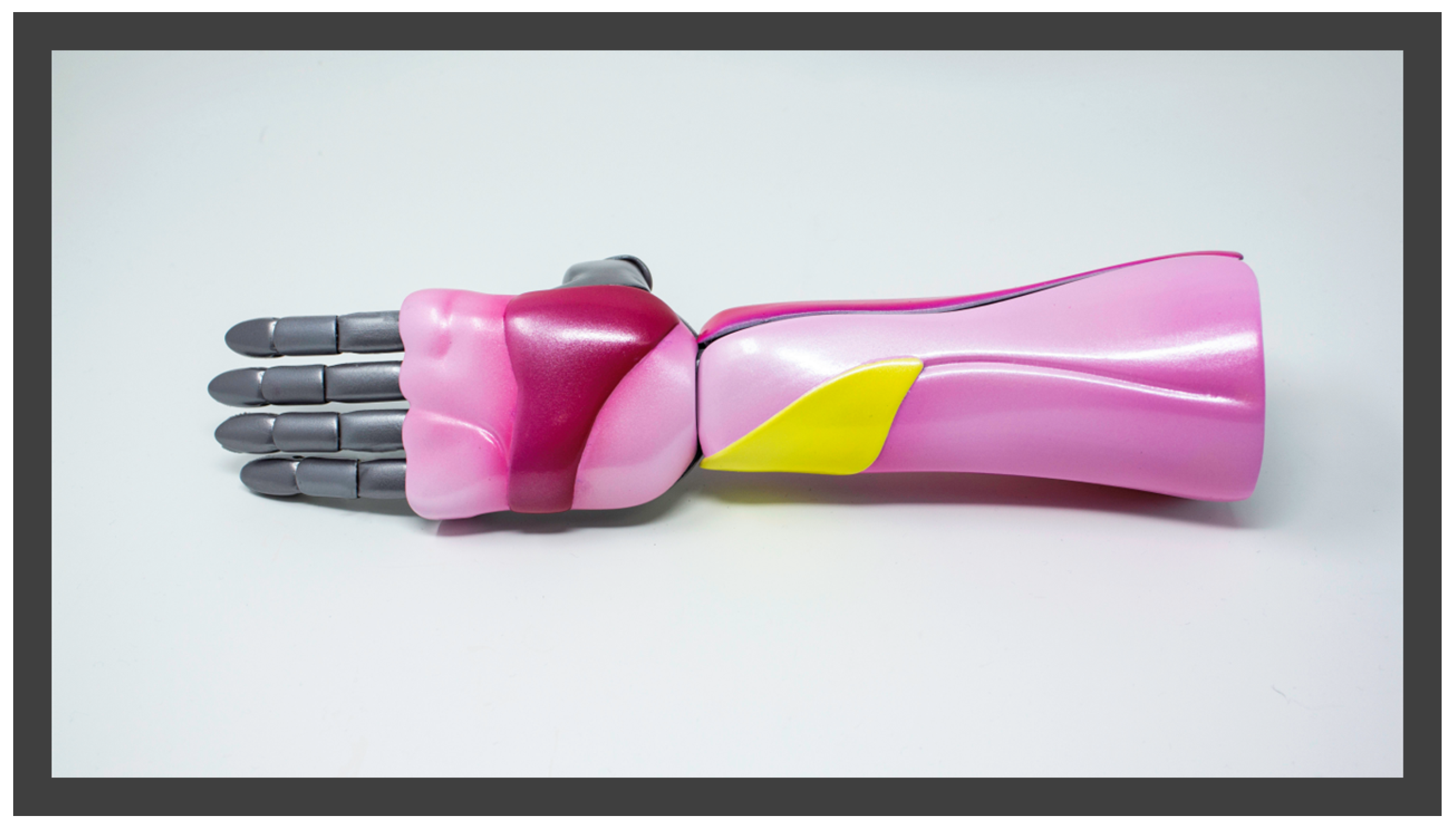 Prosthesis 05 00013 g004