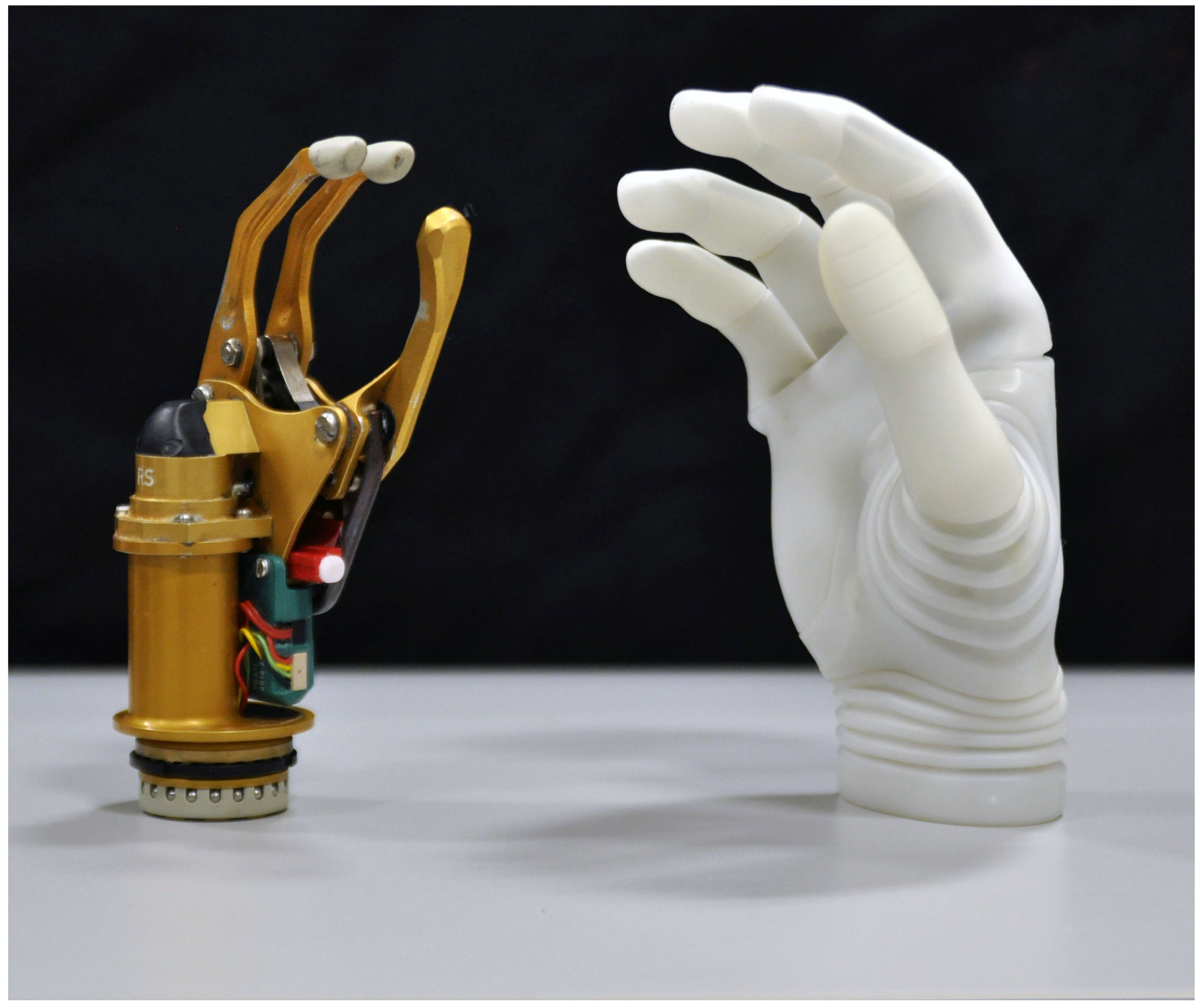 Prosthesis 05 00014 g001