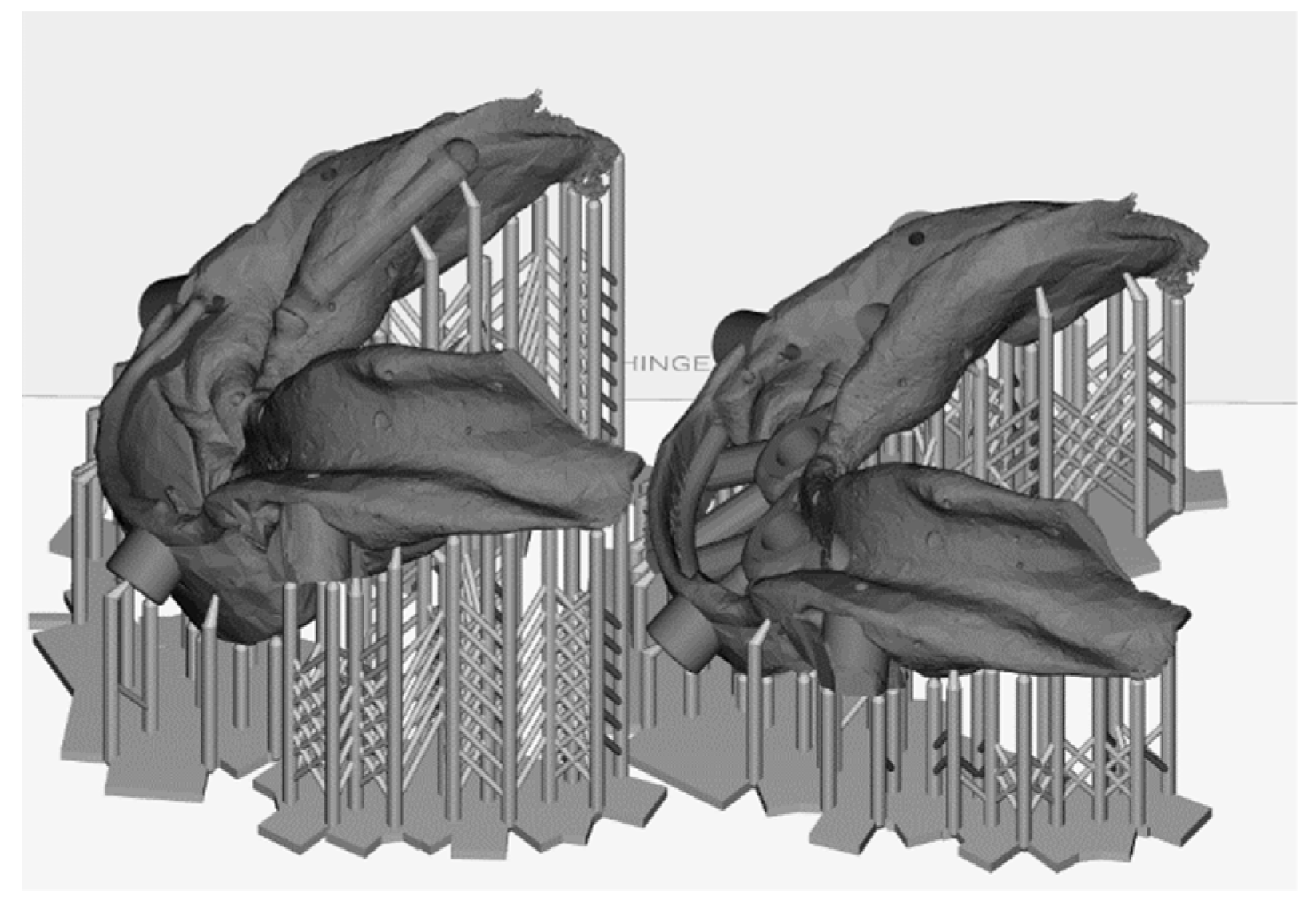 Prosthesis 05 00017 g006 Prosthesis 05 00017 g006