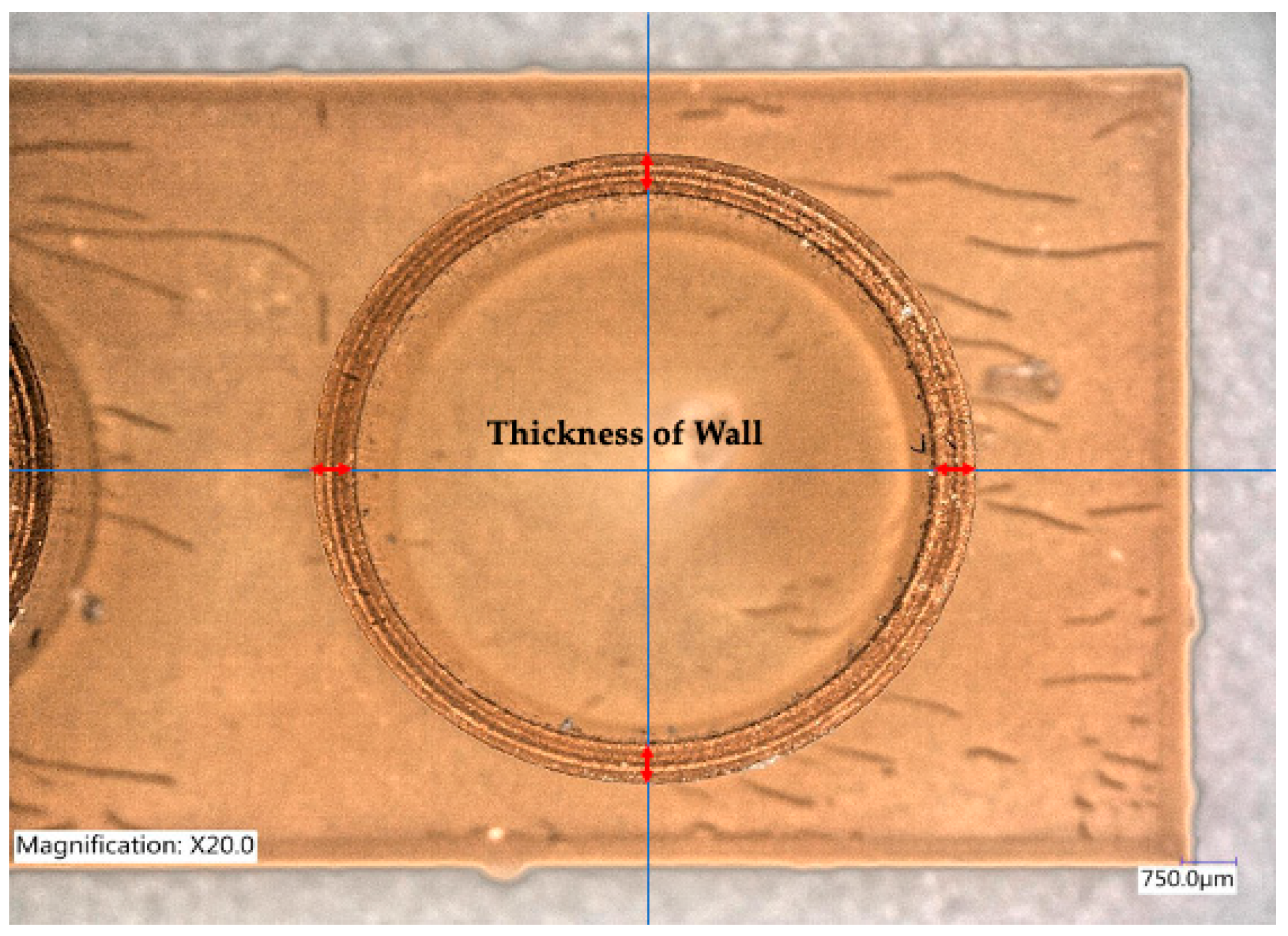 Prosthesis 05 00023 g005 Prosthesis 05 00023 g005