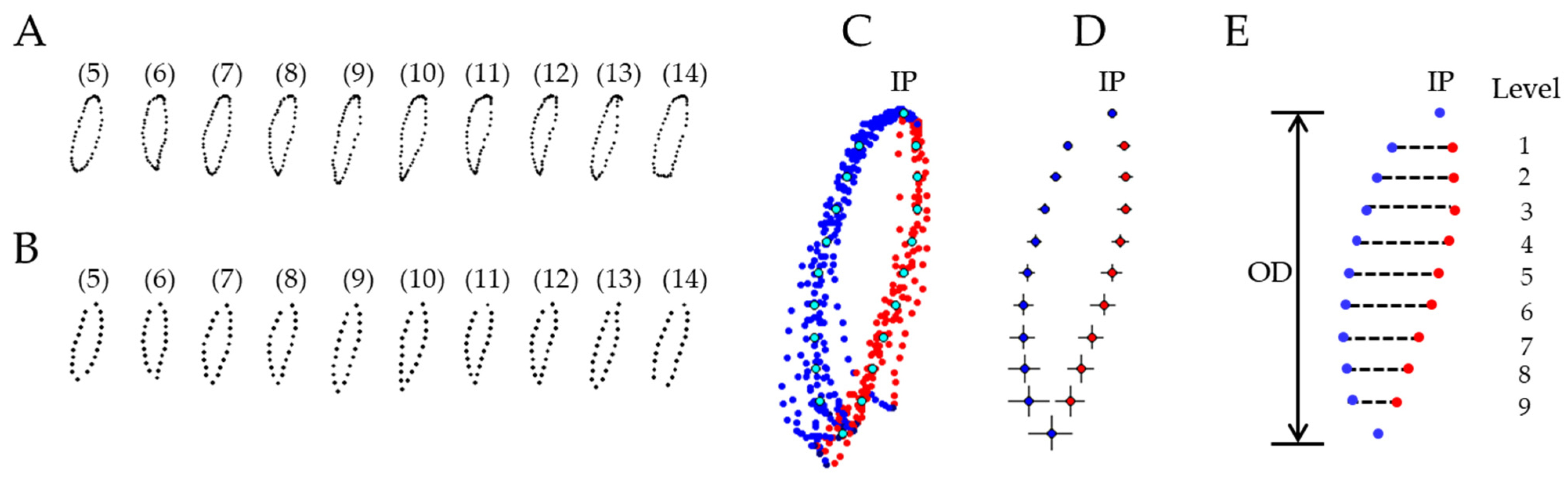 Prosthesis 05 00025 g003 Prosthesis 05 00025 g003