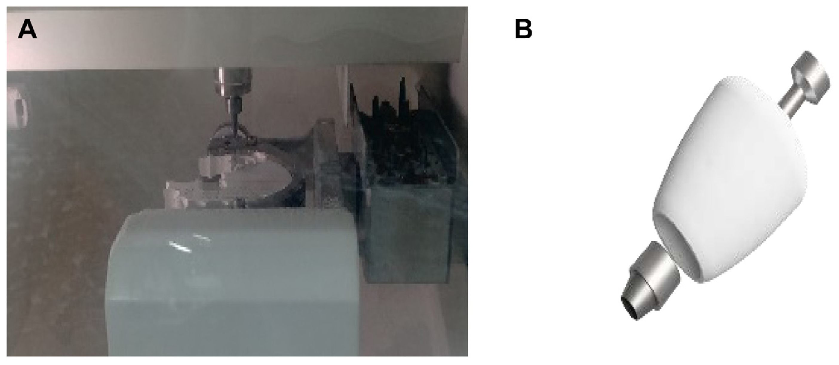 Prosthesis 05 00027 g005