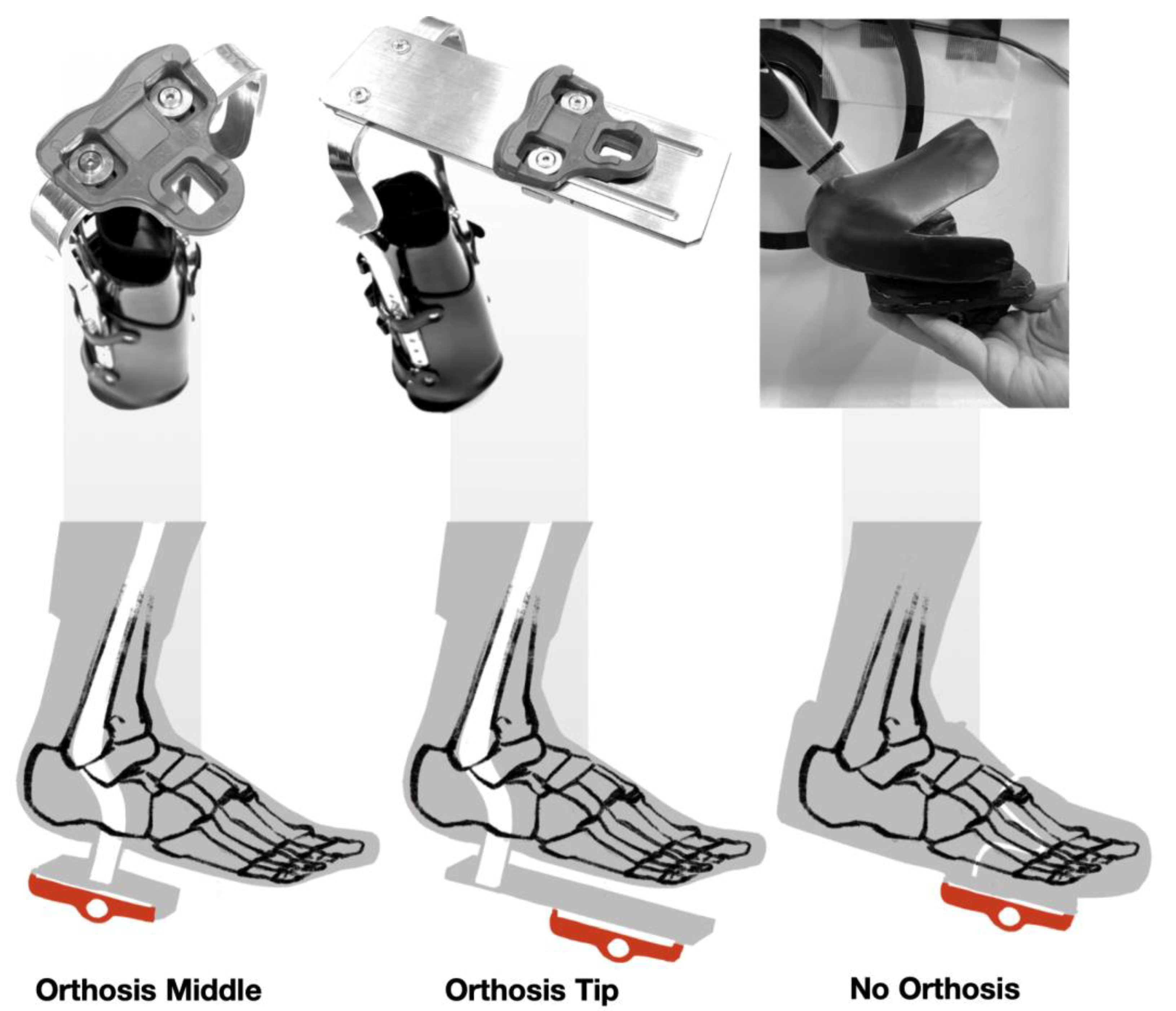 Prosthesis 05 00052 g005