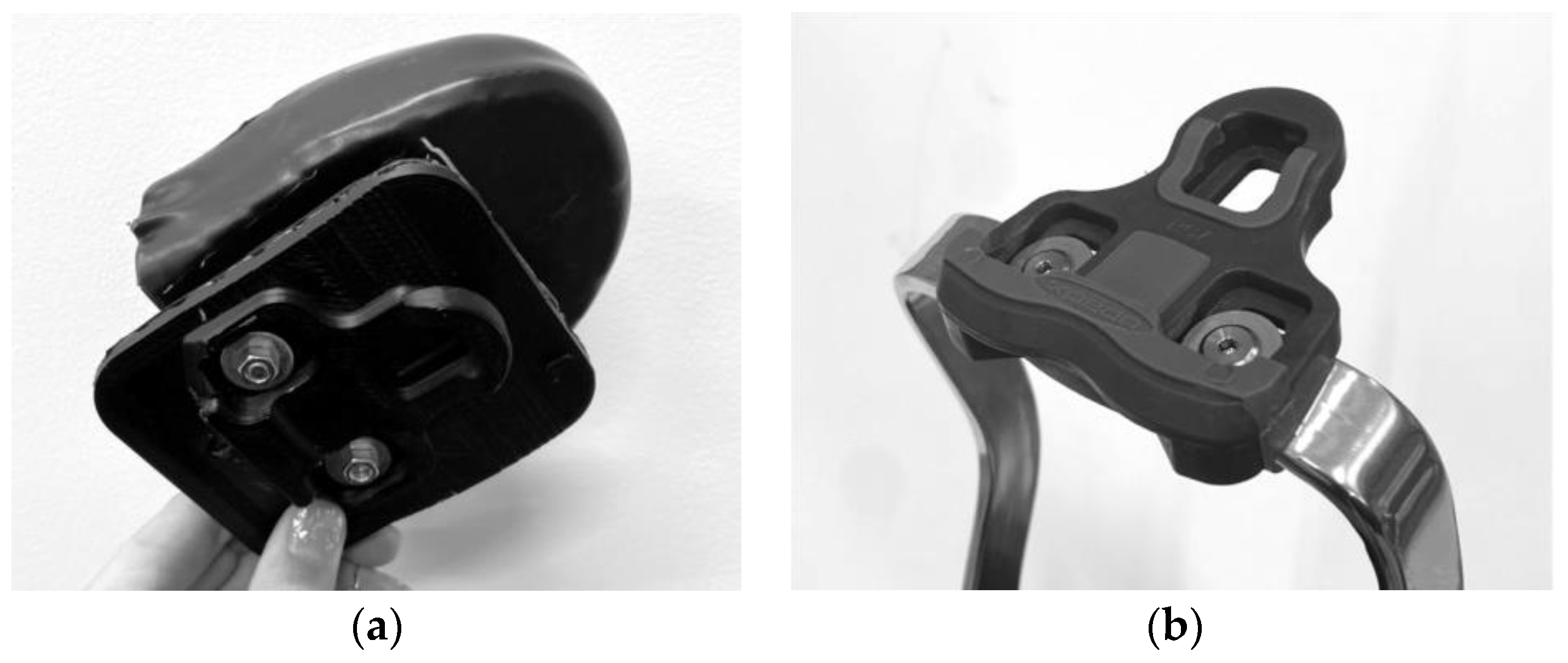 Prosthesis 05 00052 g006