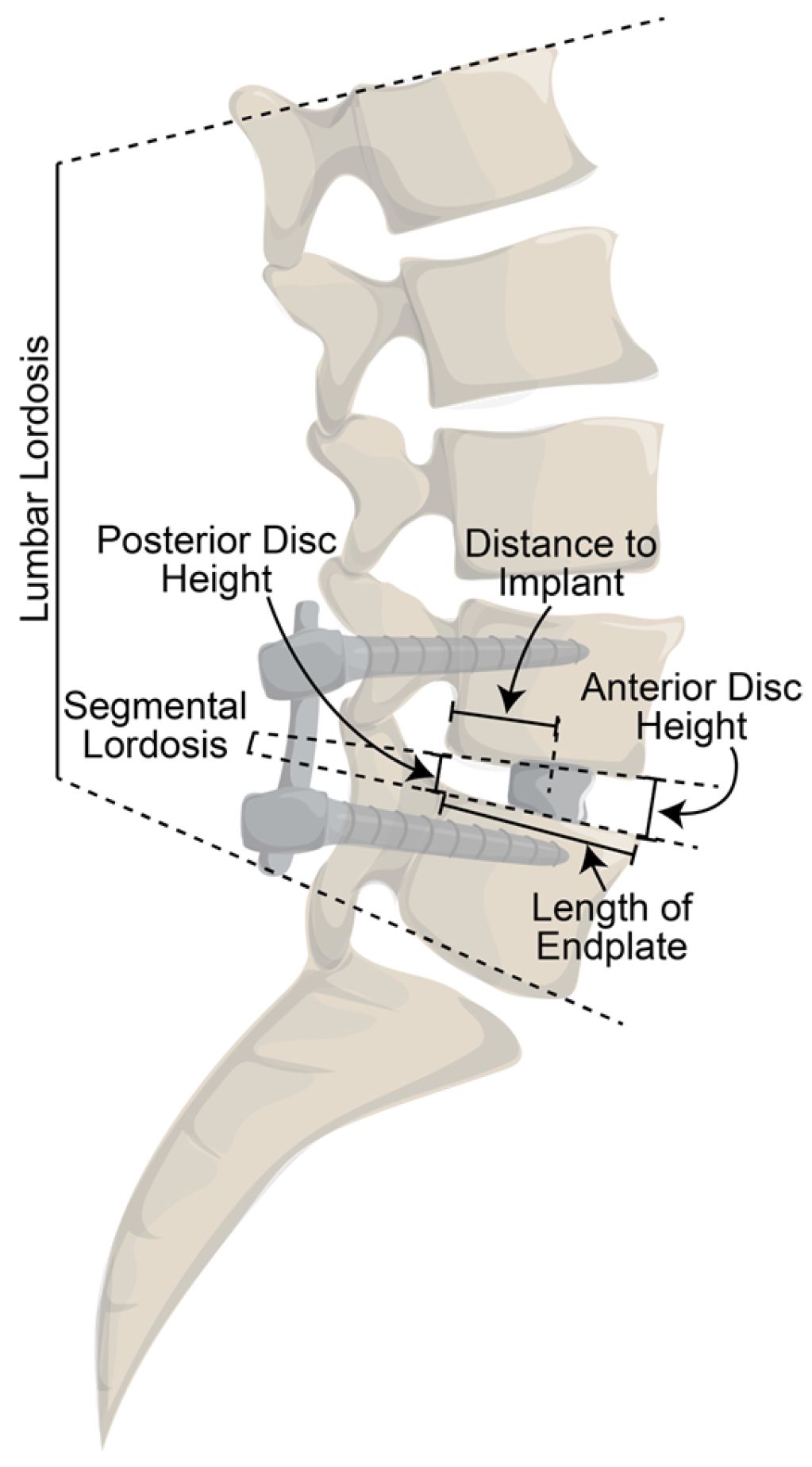 Prosthesis 05 00053 g003 Prosthesis 05 00053 g003