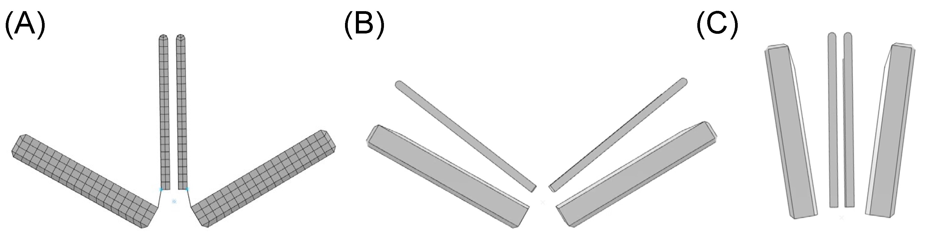 Prosthesis 05 00061 g002
