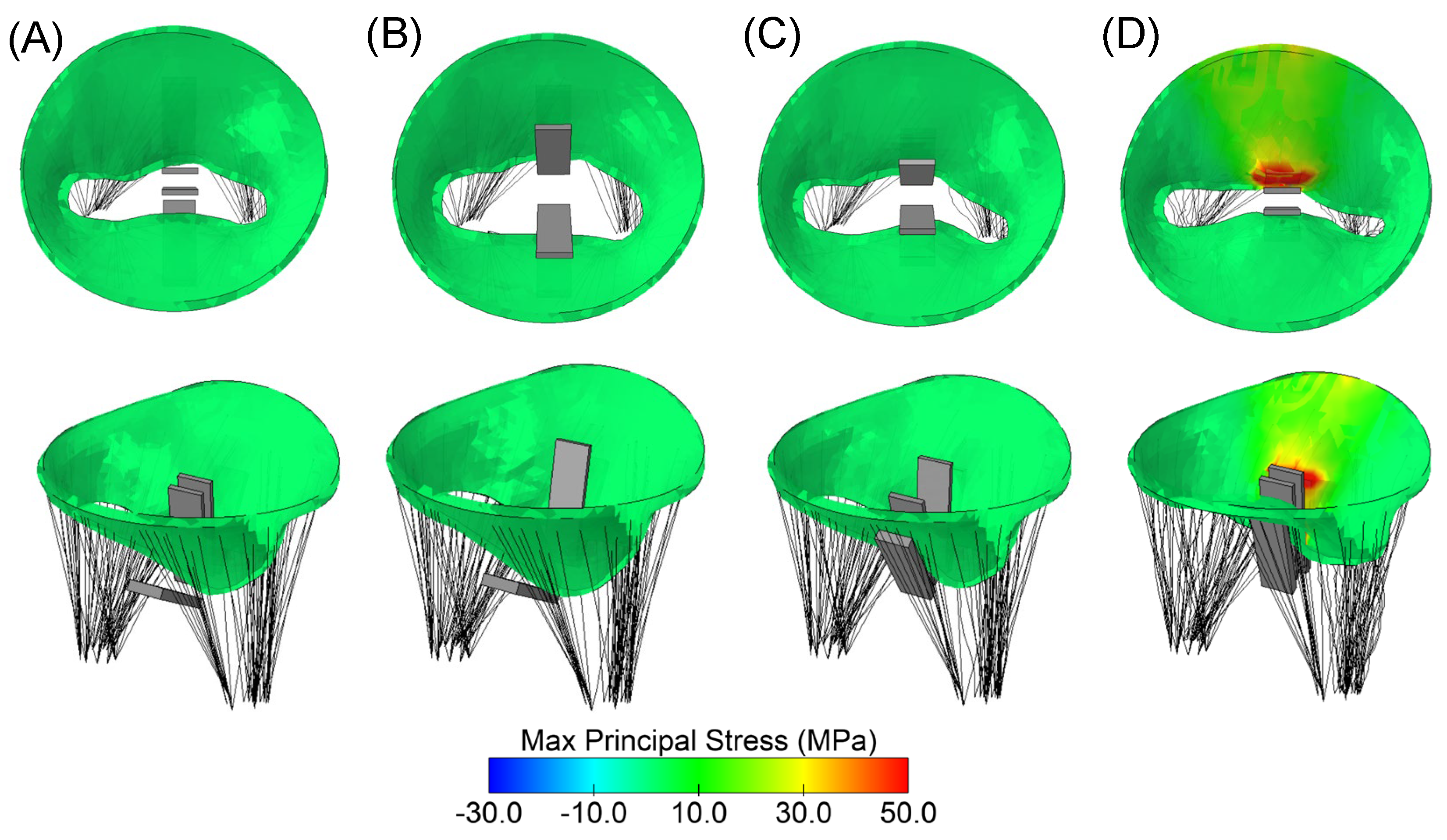 Prosthesis 05 00061 g004