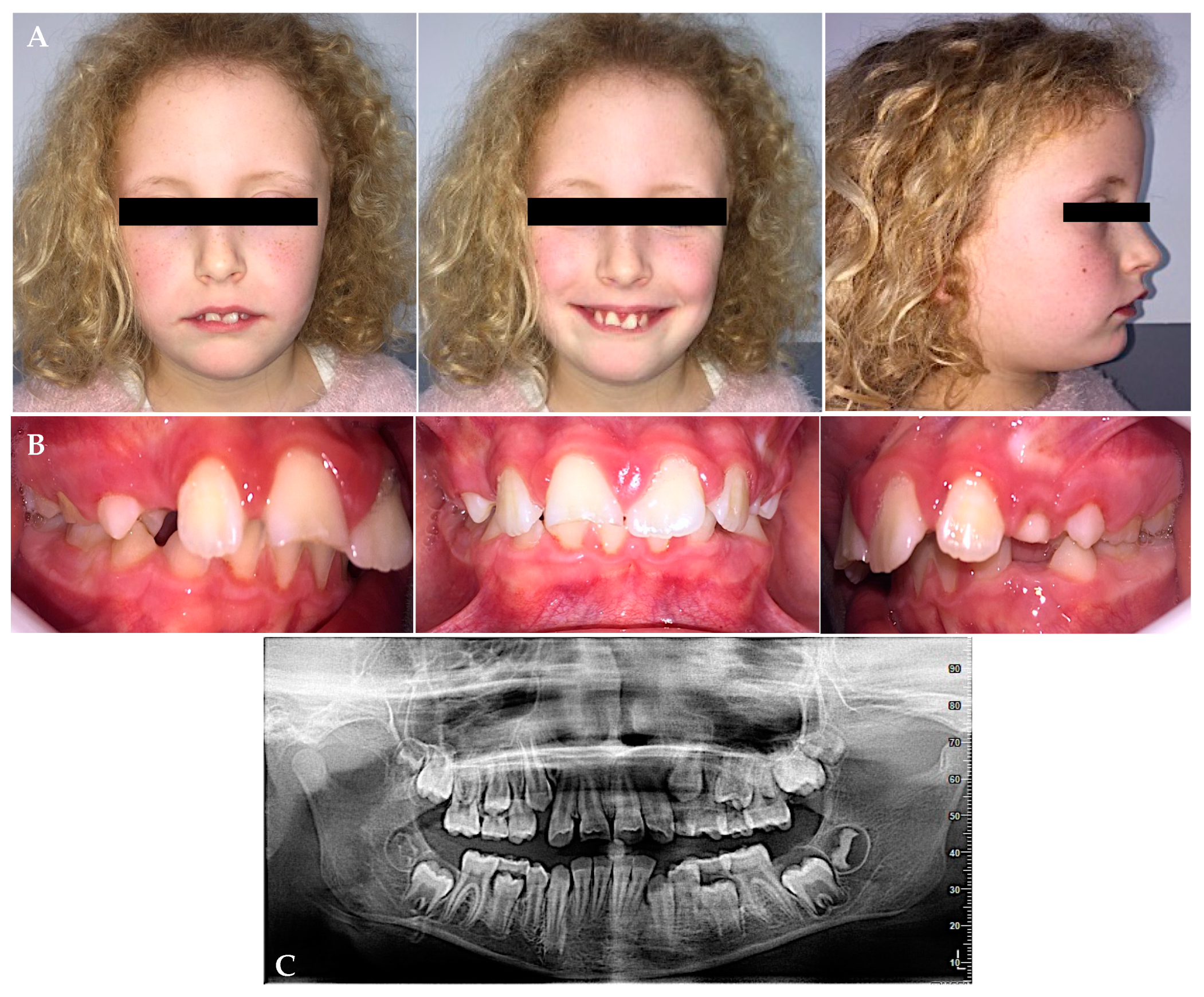 Prosthesis 05 00073 g001