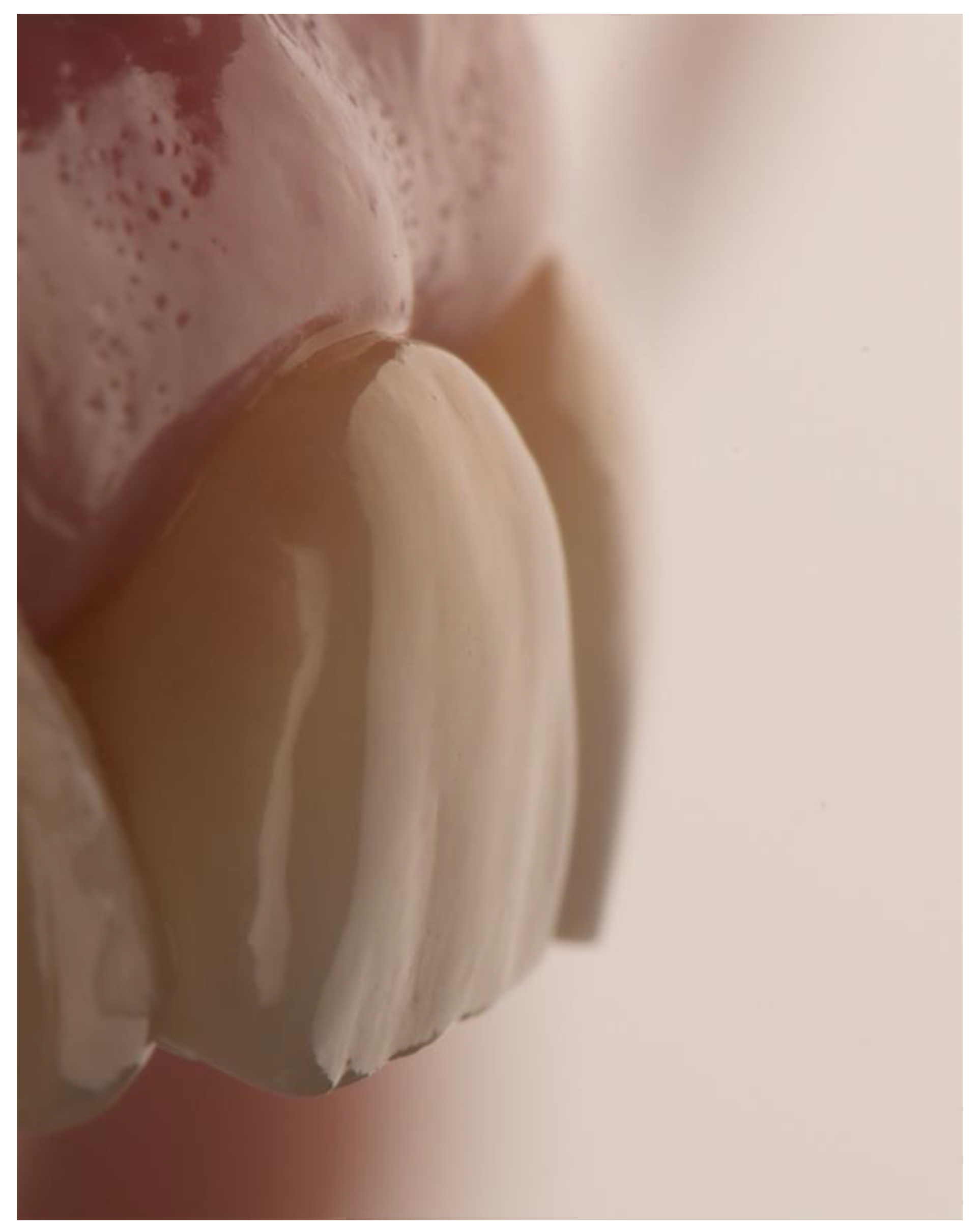 Prosthesis 05 00074 g009