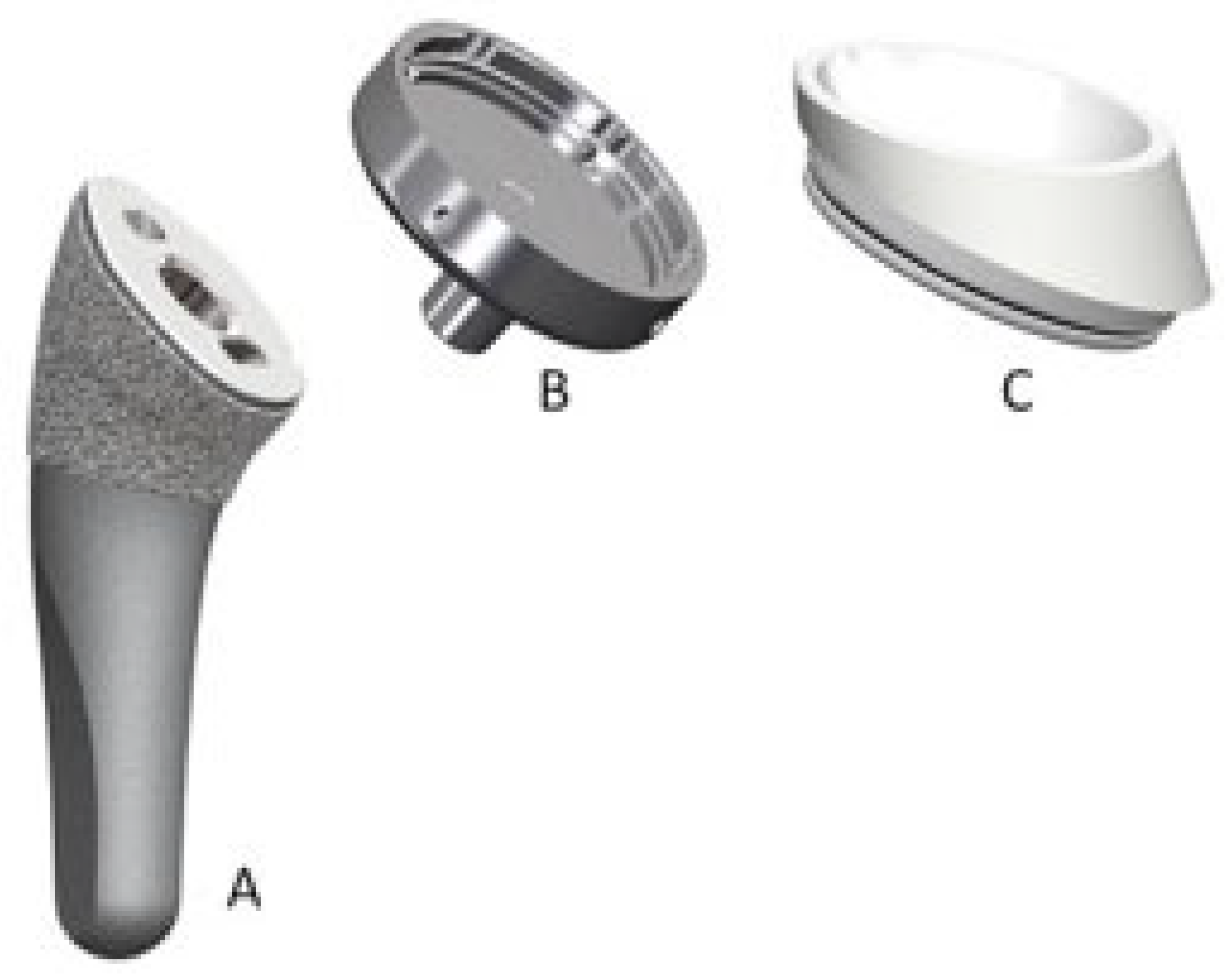 Prosthesis 05 00075 g005