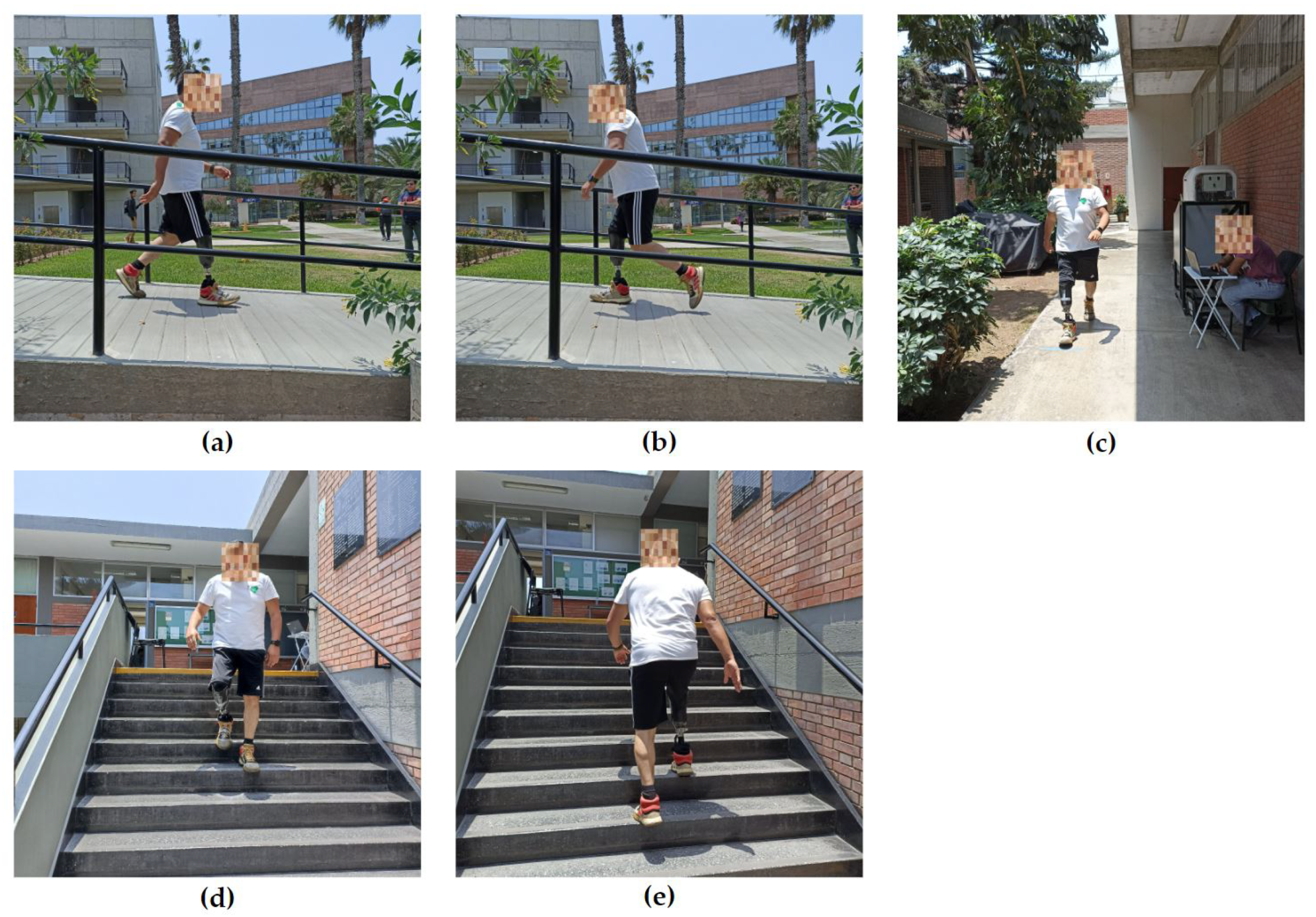 Prosthesis 05 00085 g002