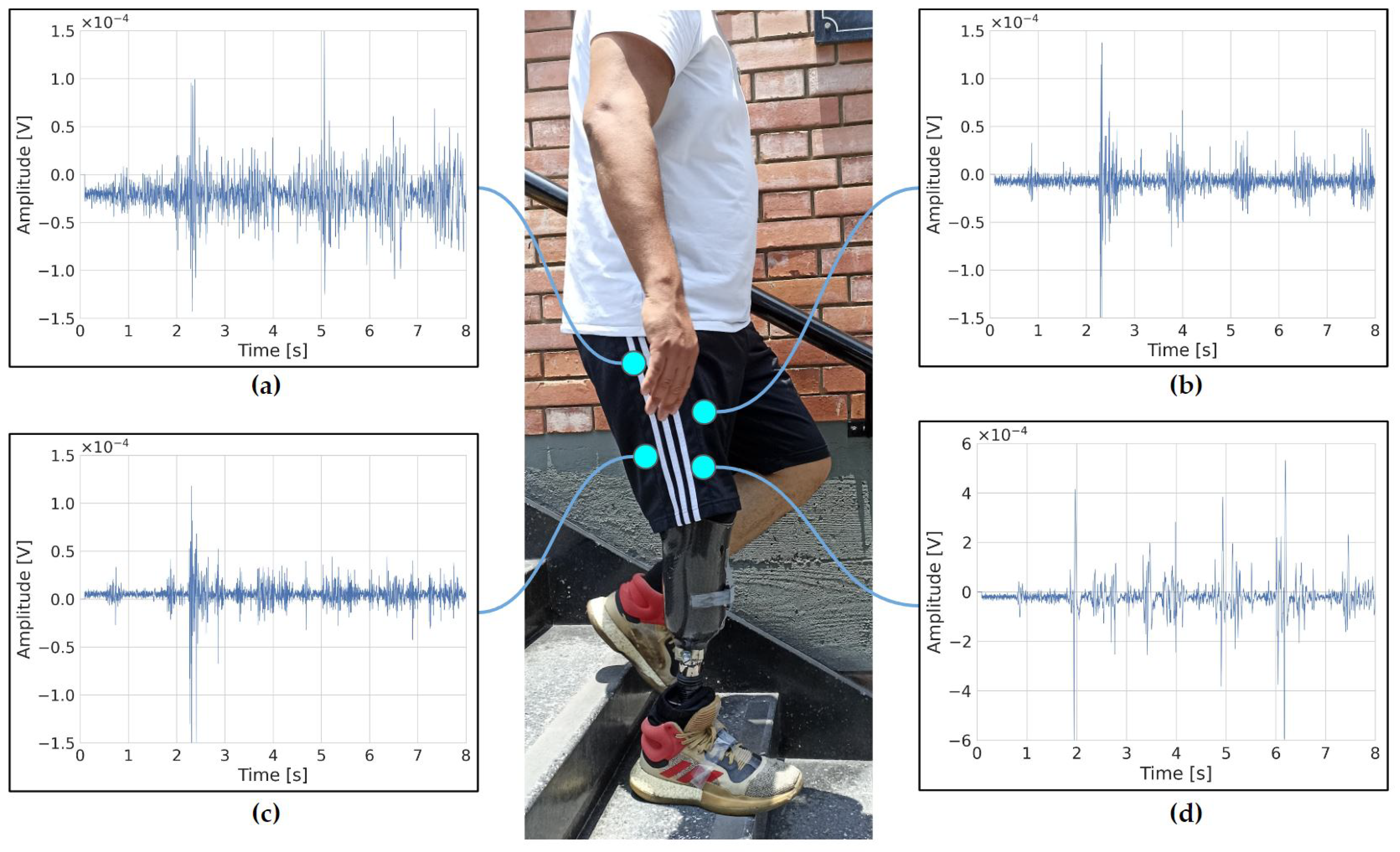 Prosthesis 05 00085 g003
