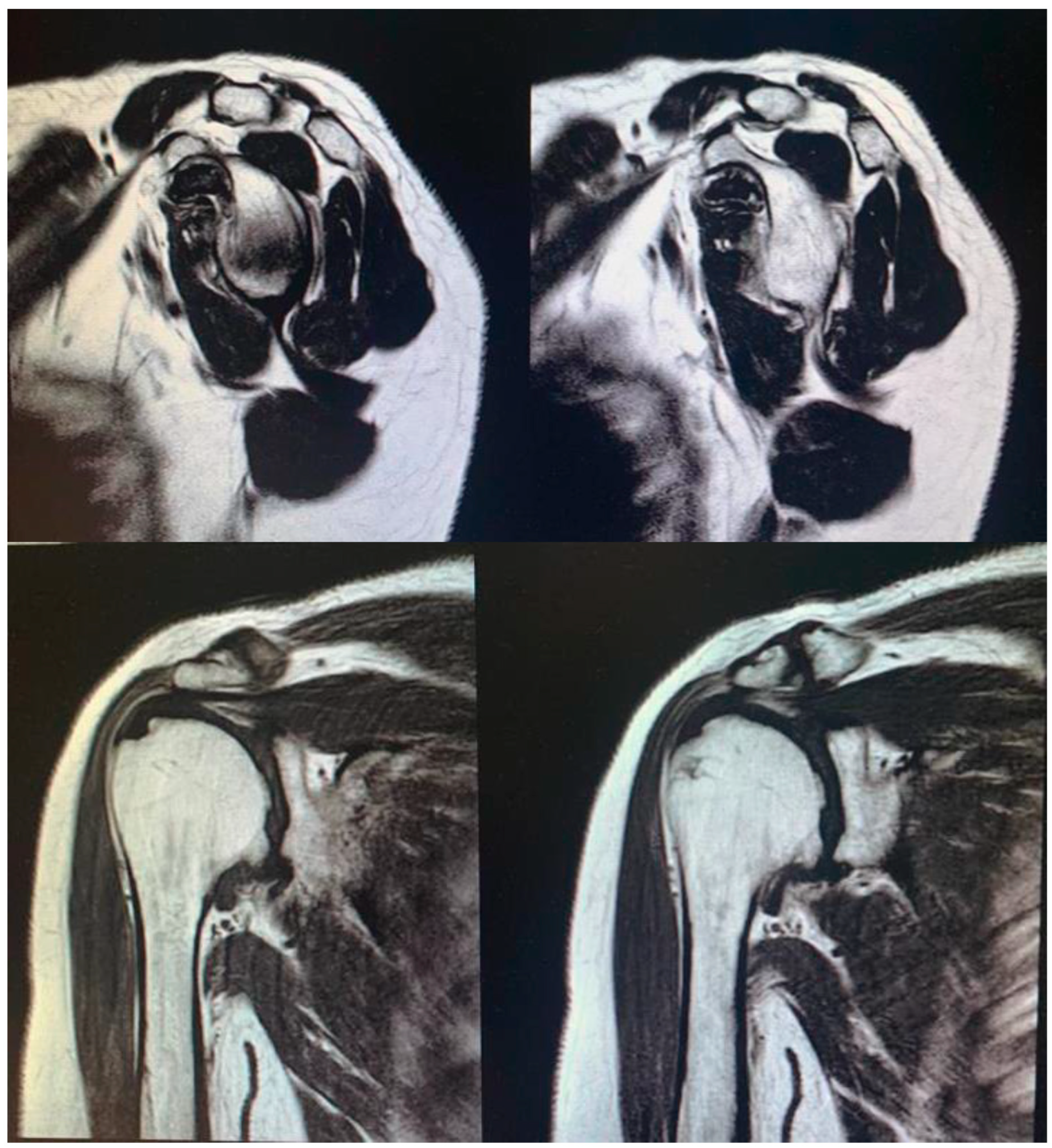 Prosthesis 05 00090 g003
