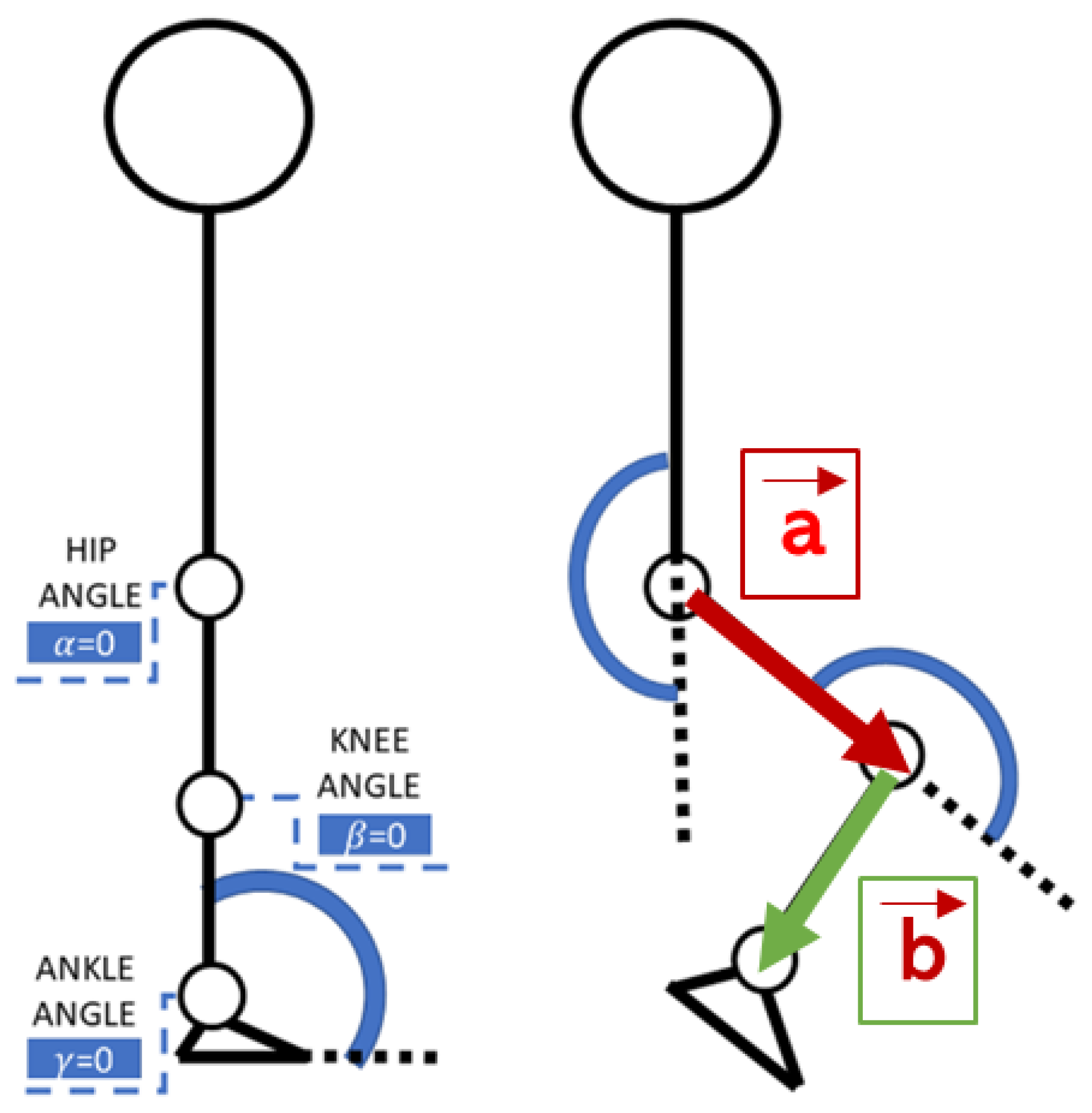 Prosthesis 06 00002 g001