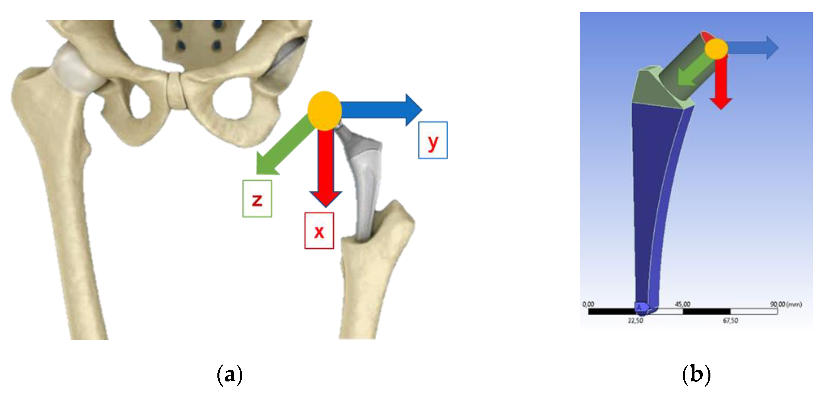 Prosthesis 06 00002 g007