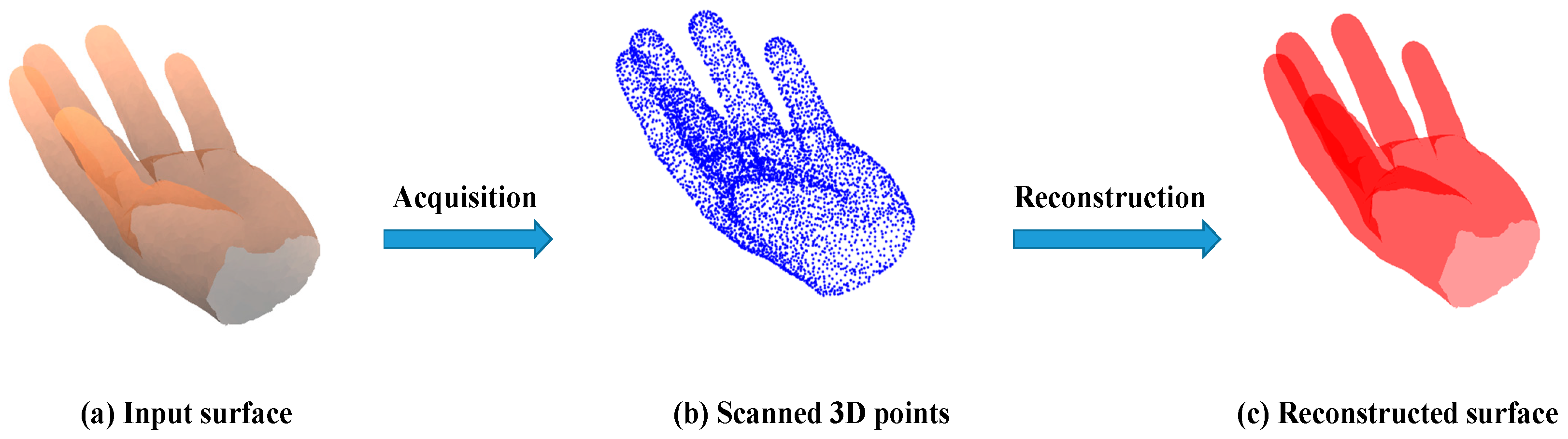 Prosthesis 06 00008 g001