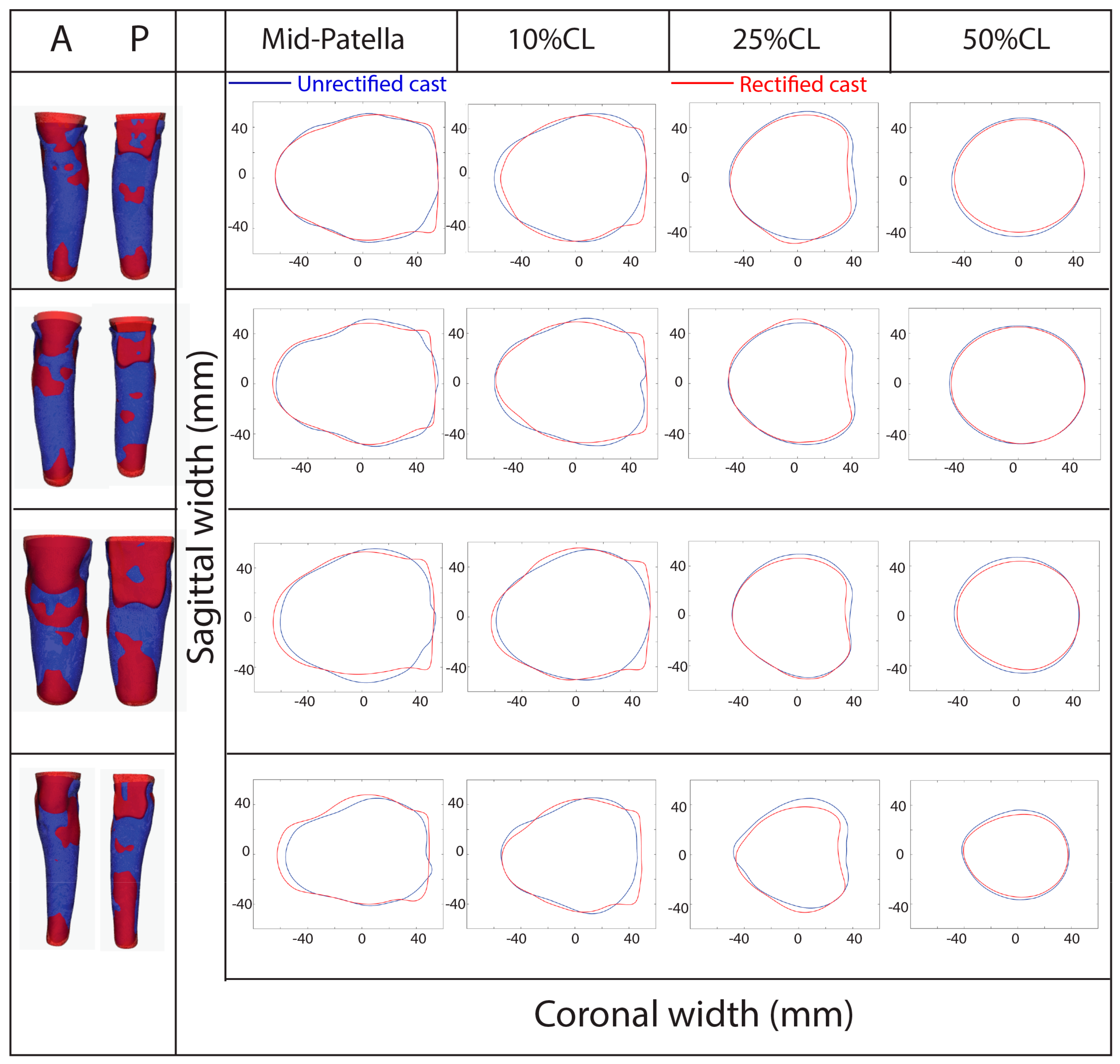 Prosthesis 06 00013 g005