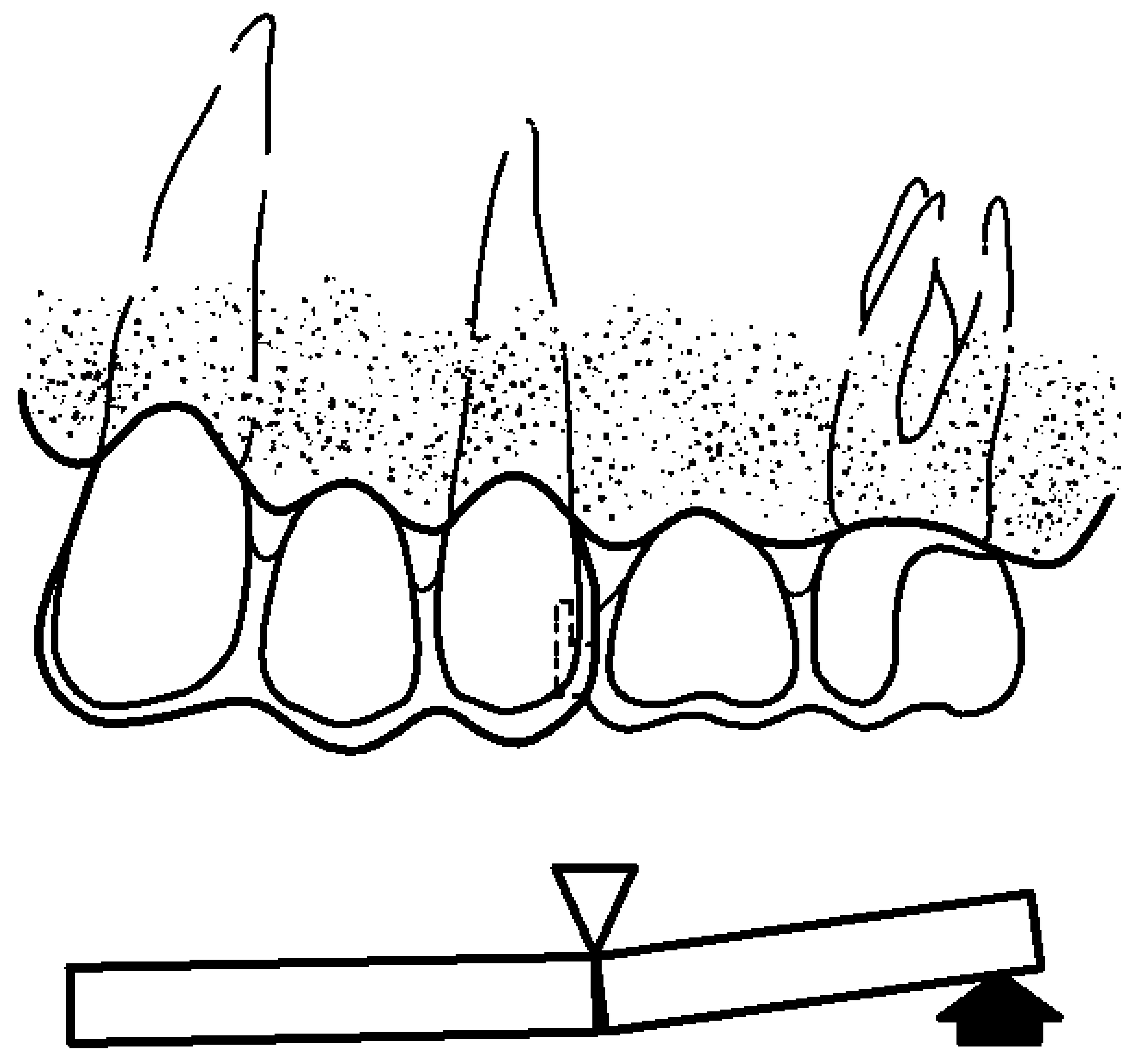 Prosthesis 06 00017 g003