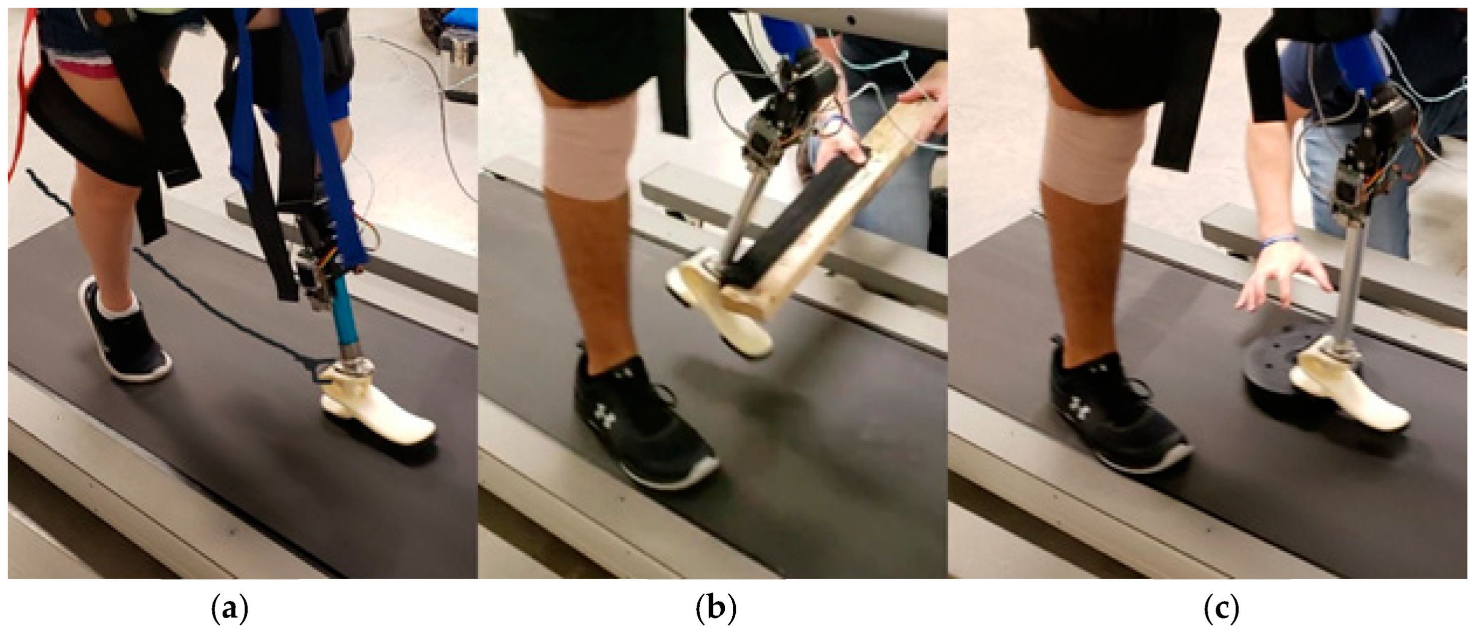 Prosthesis 06 00018 g003