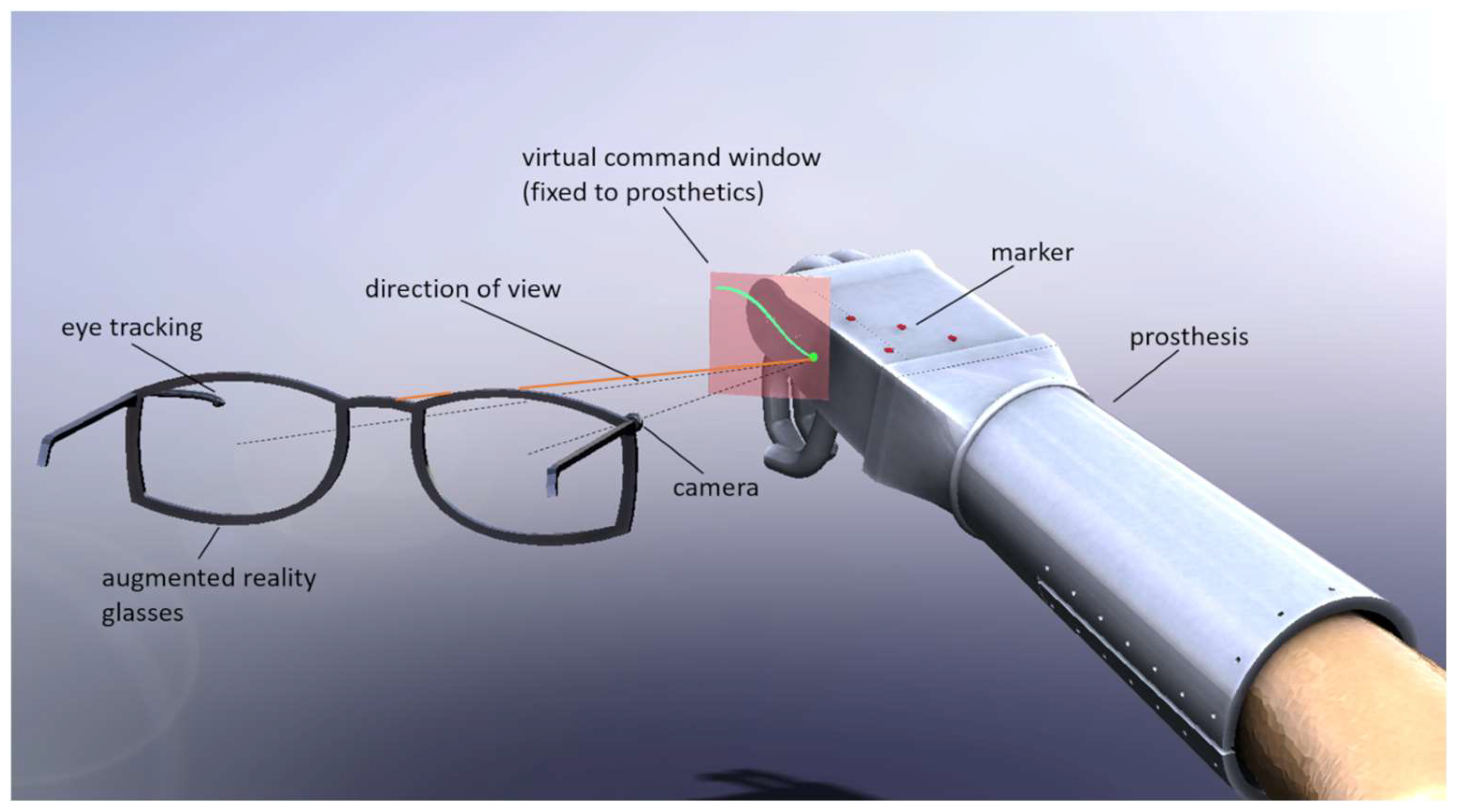 Prosthesis 06 00021 g002