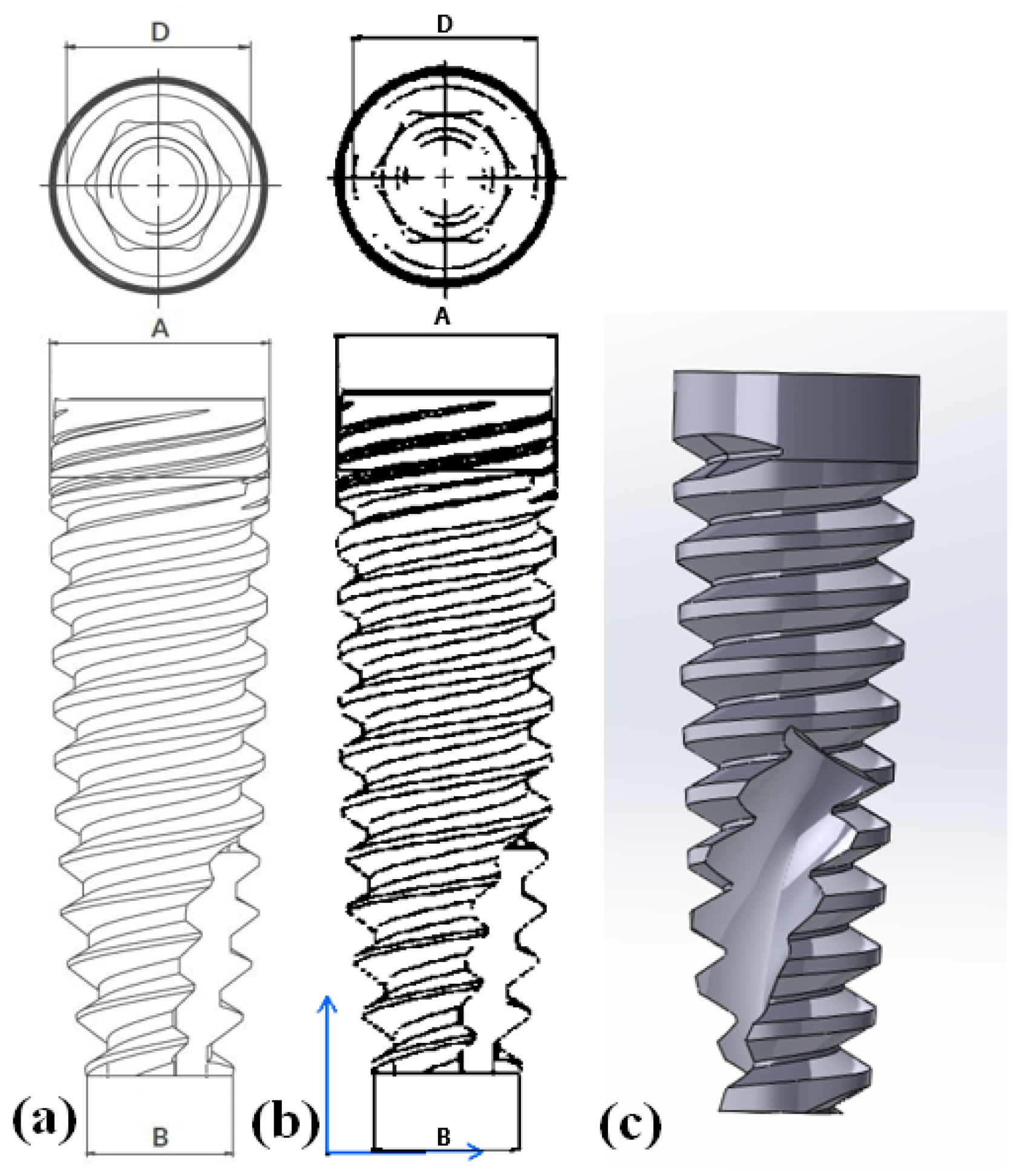 Prosthesis 06 00024 g002